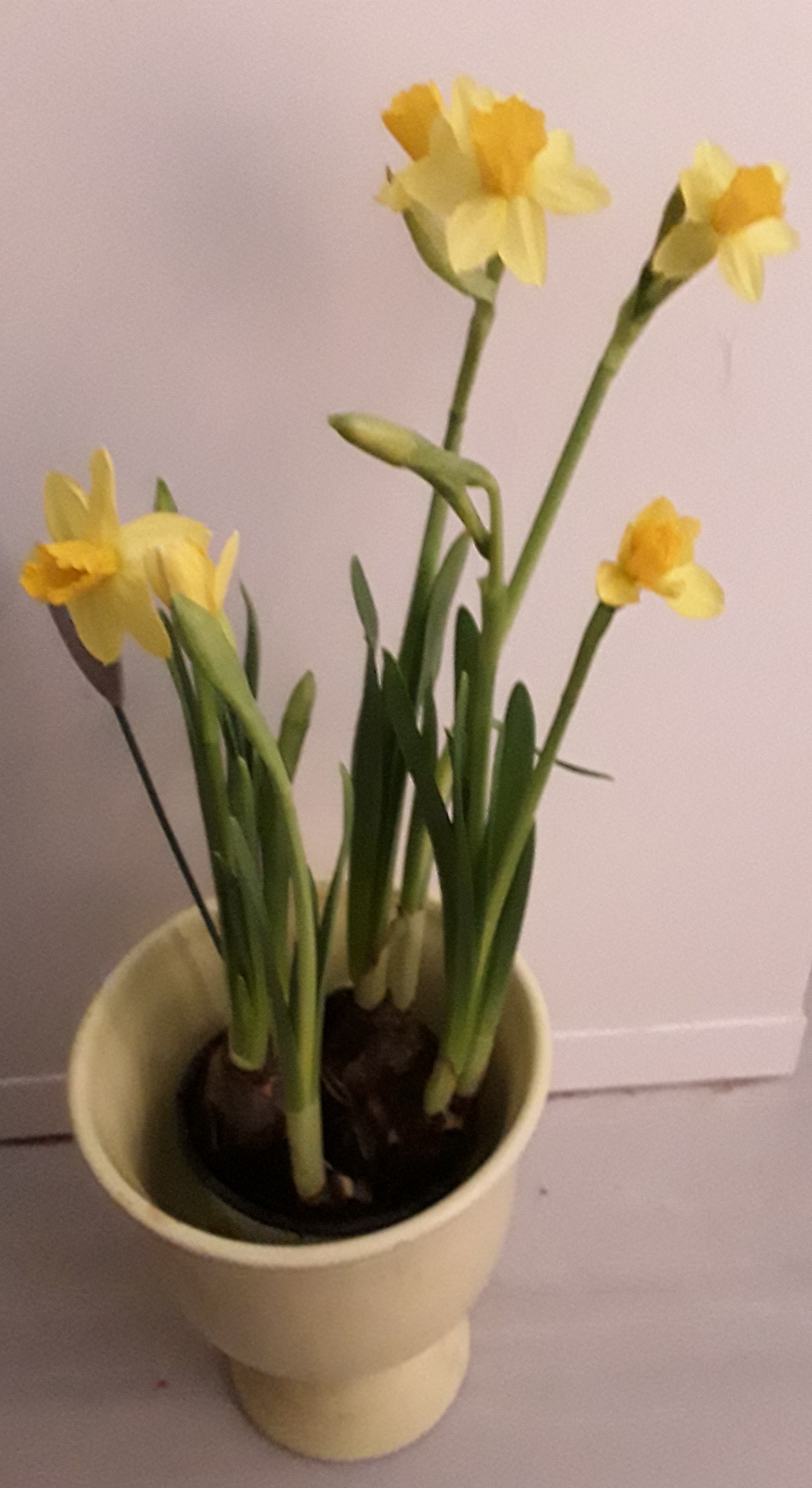 20190310_110443