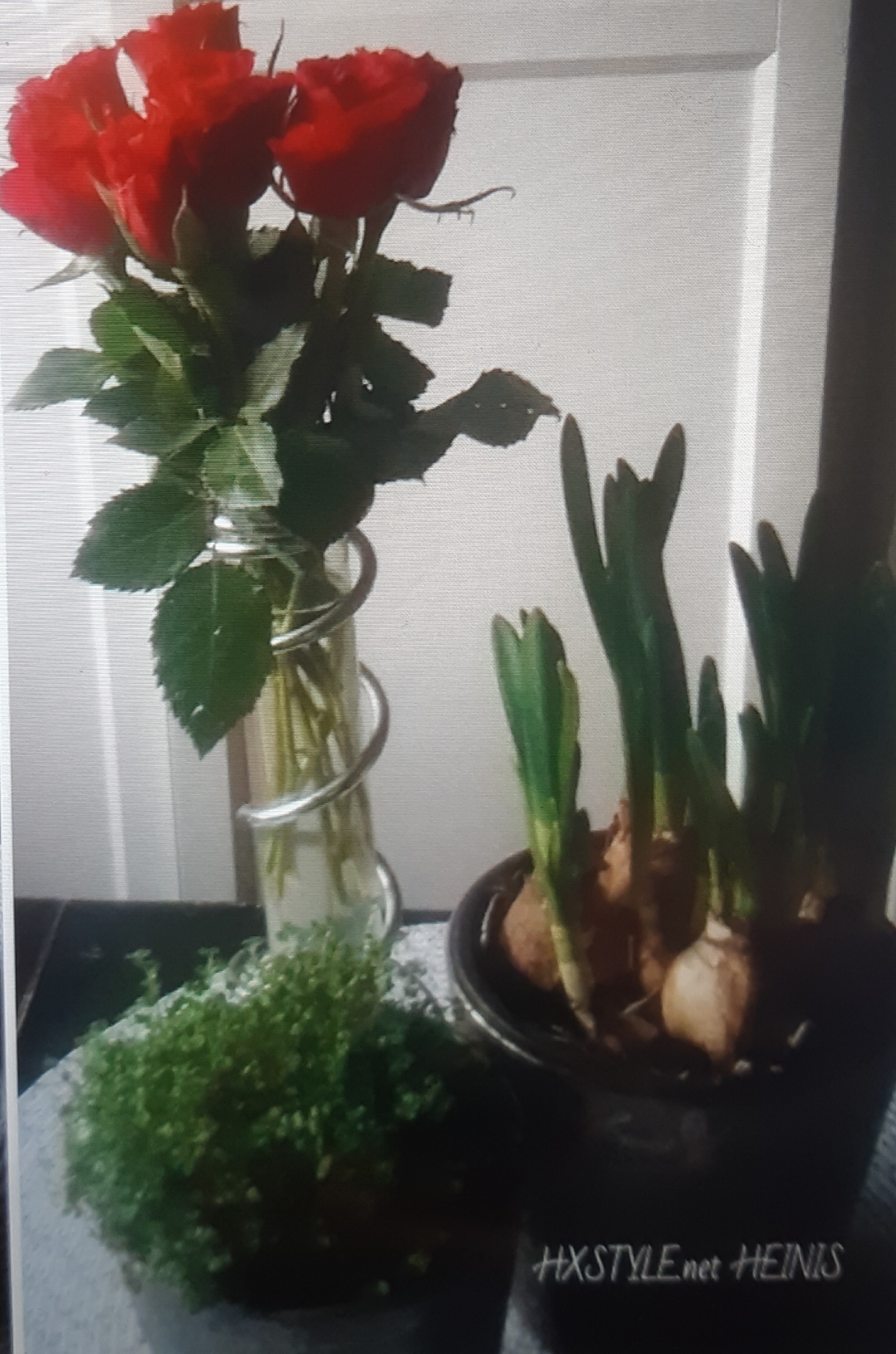 20190314_081858