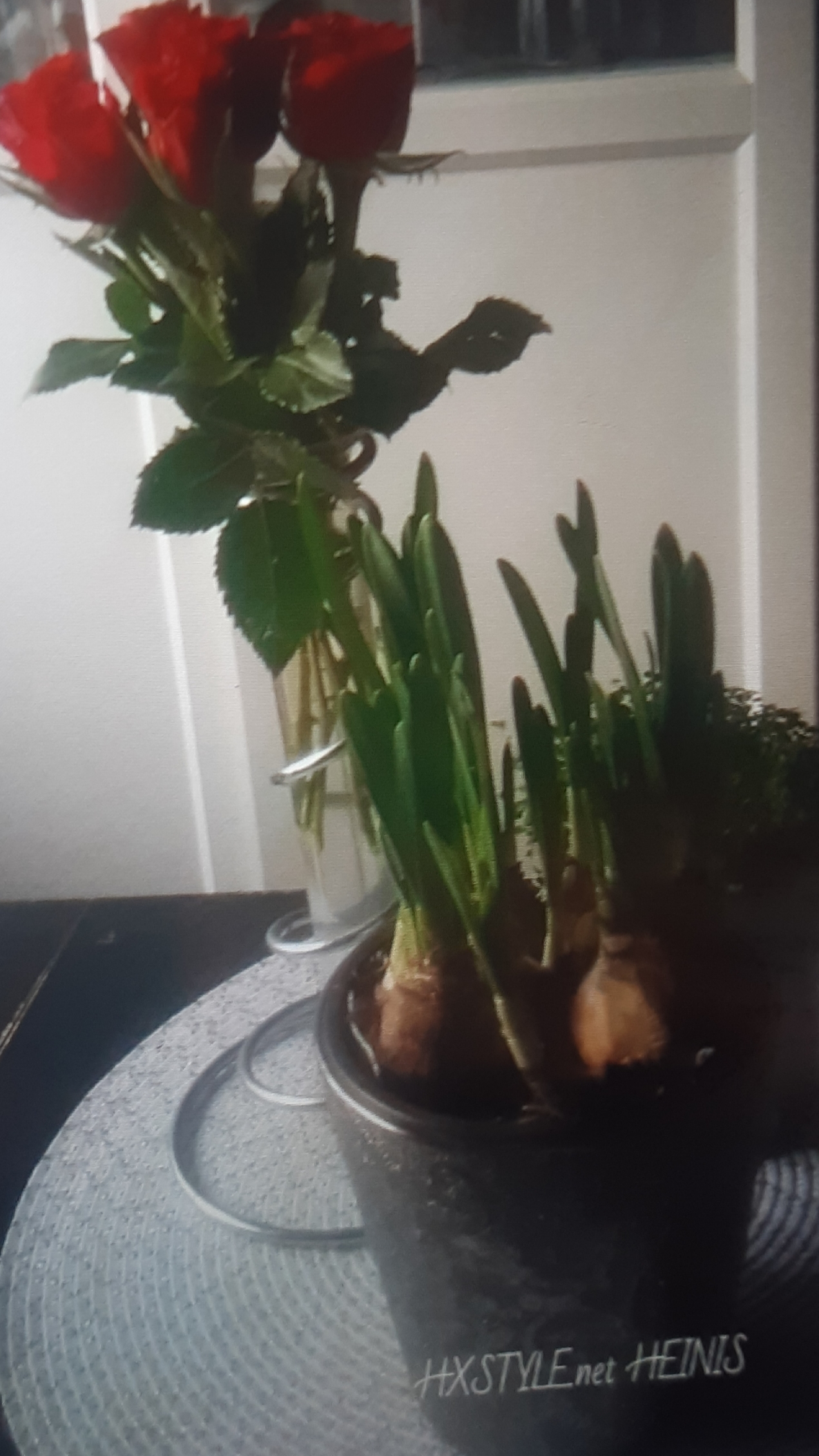 20190314_081924