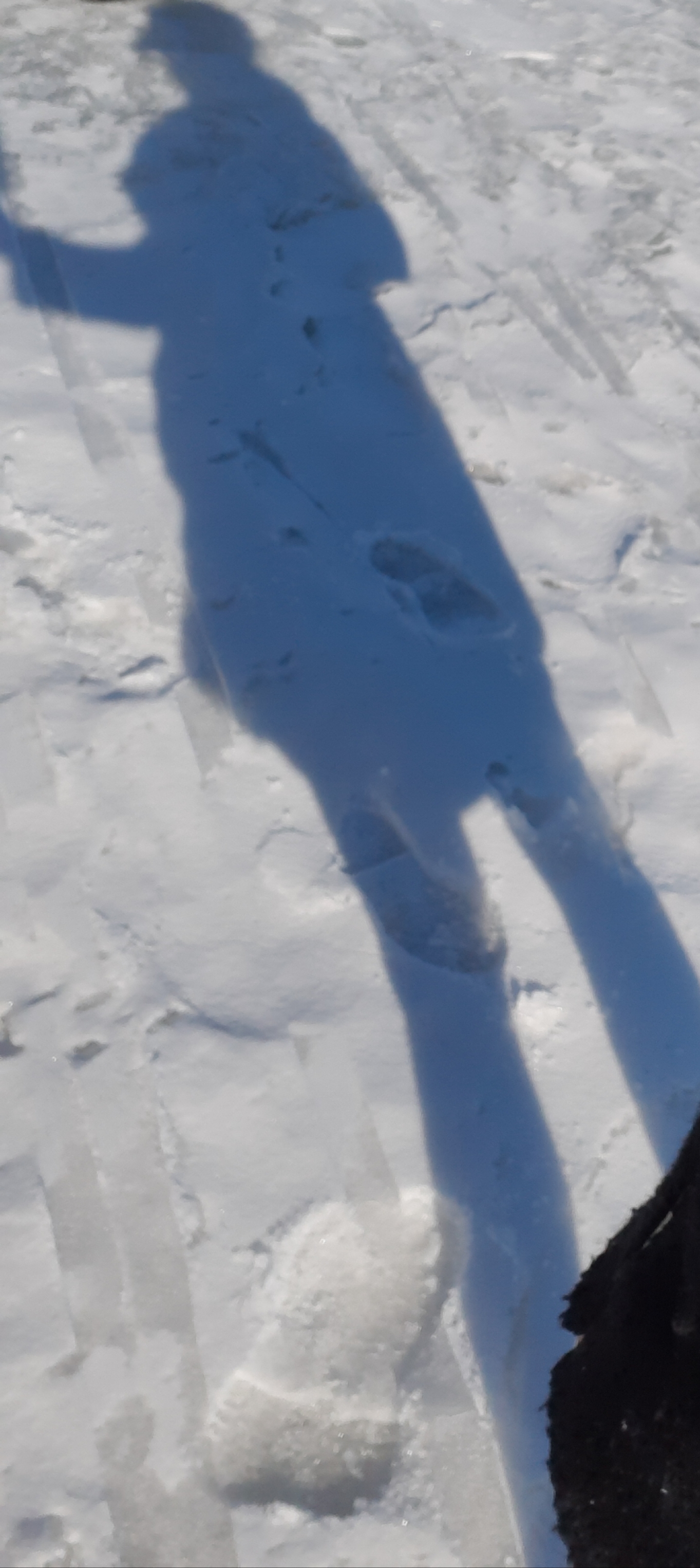 20190327_191802
