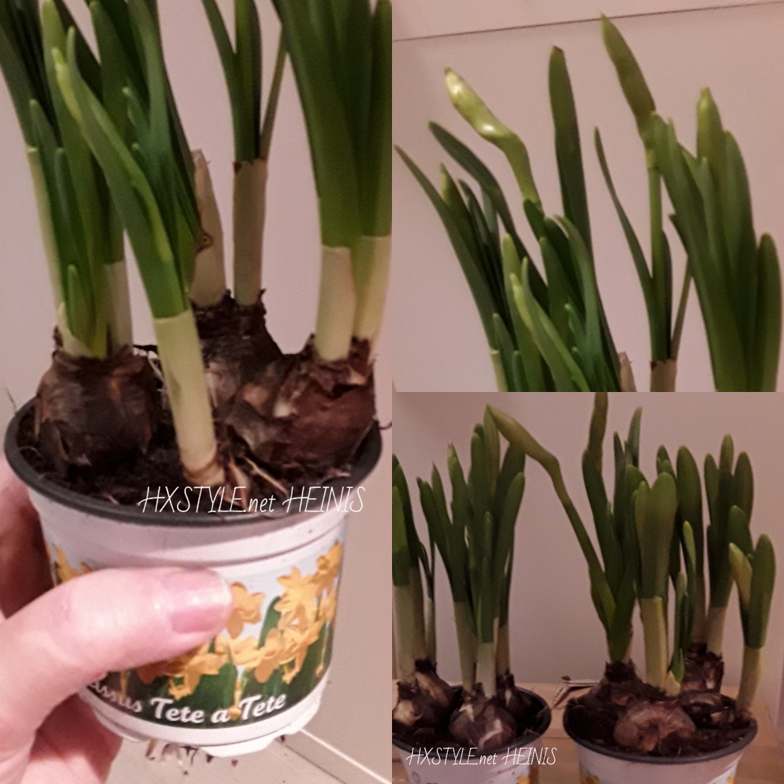 IMG_20190308_090028_619