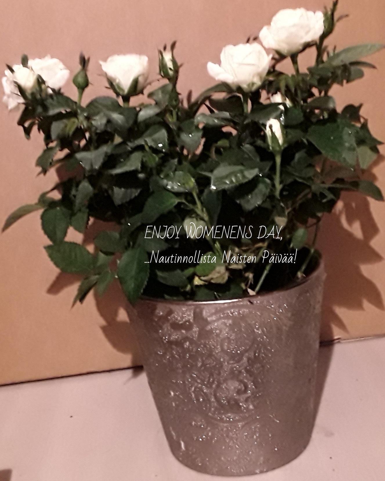 IMG_20190308_091109_410