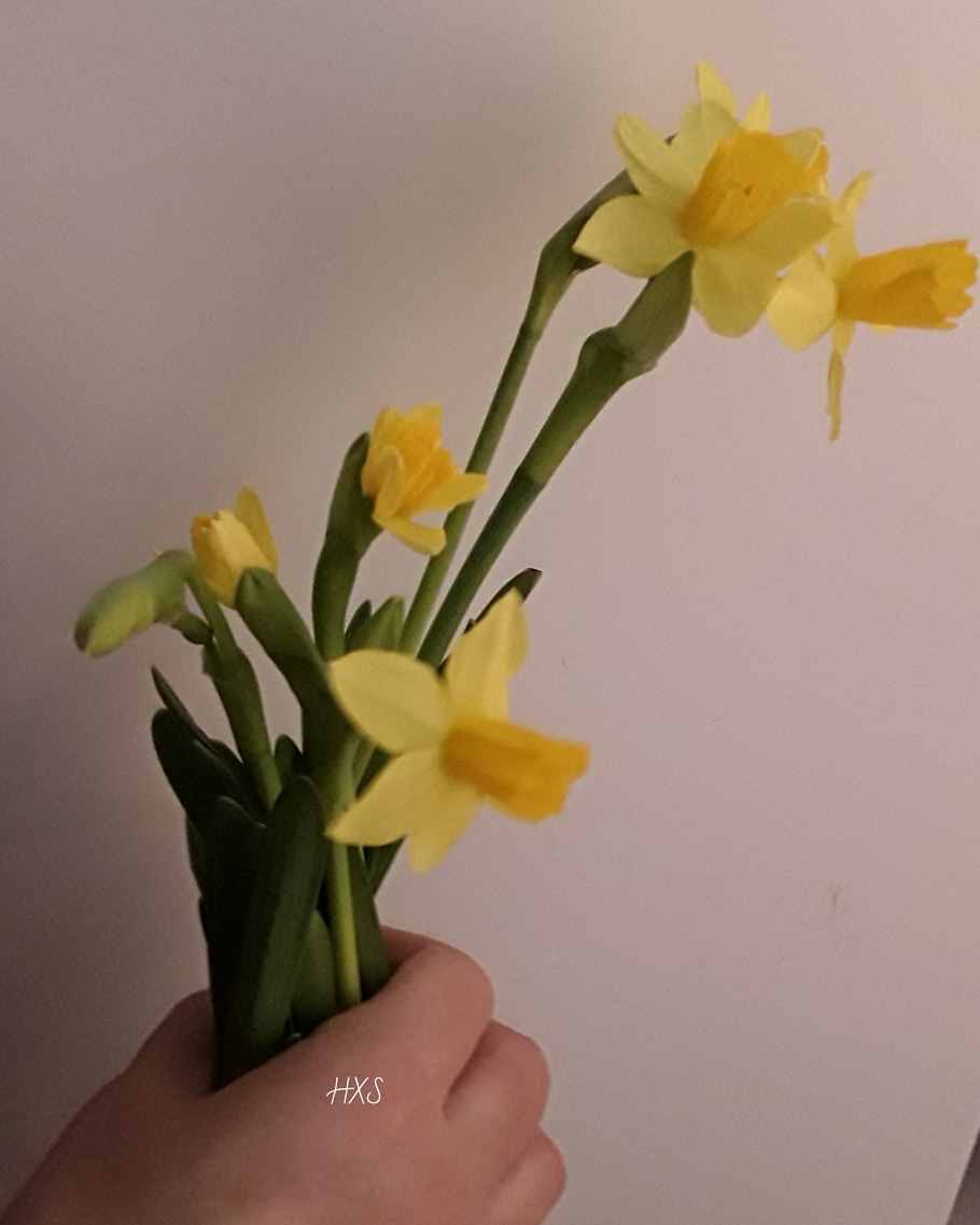 KOTI&SISUSTUS. KUKAT&KASVIT. SISÄTILAT, Ulkotilat myöhemmin……. Kevät Talvi, Pääsiäinen ja Kevään odotus…Ideat&Vinkit, Suosikit. 14.3.2019 Elämäntapablogi  HXS. HXSTYLE.net&nbsp;HEINIS