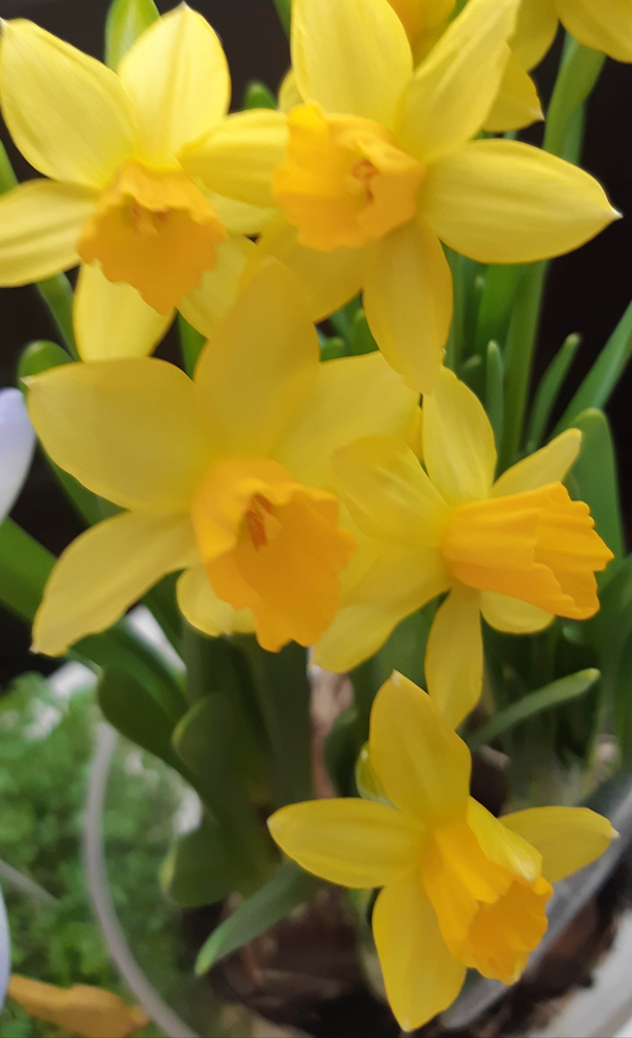 20190403_175908