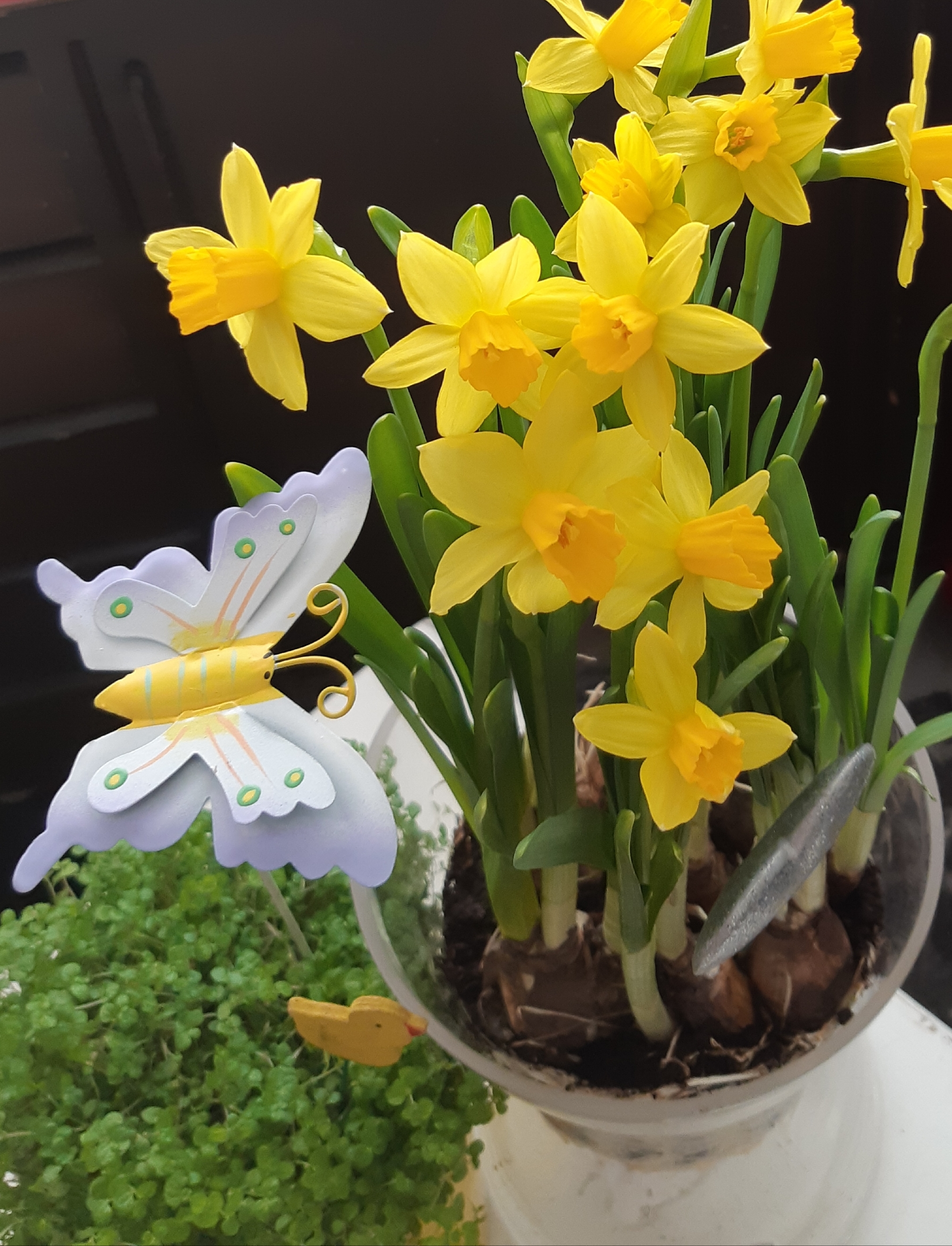 20190403_180017