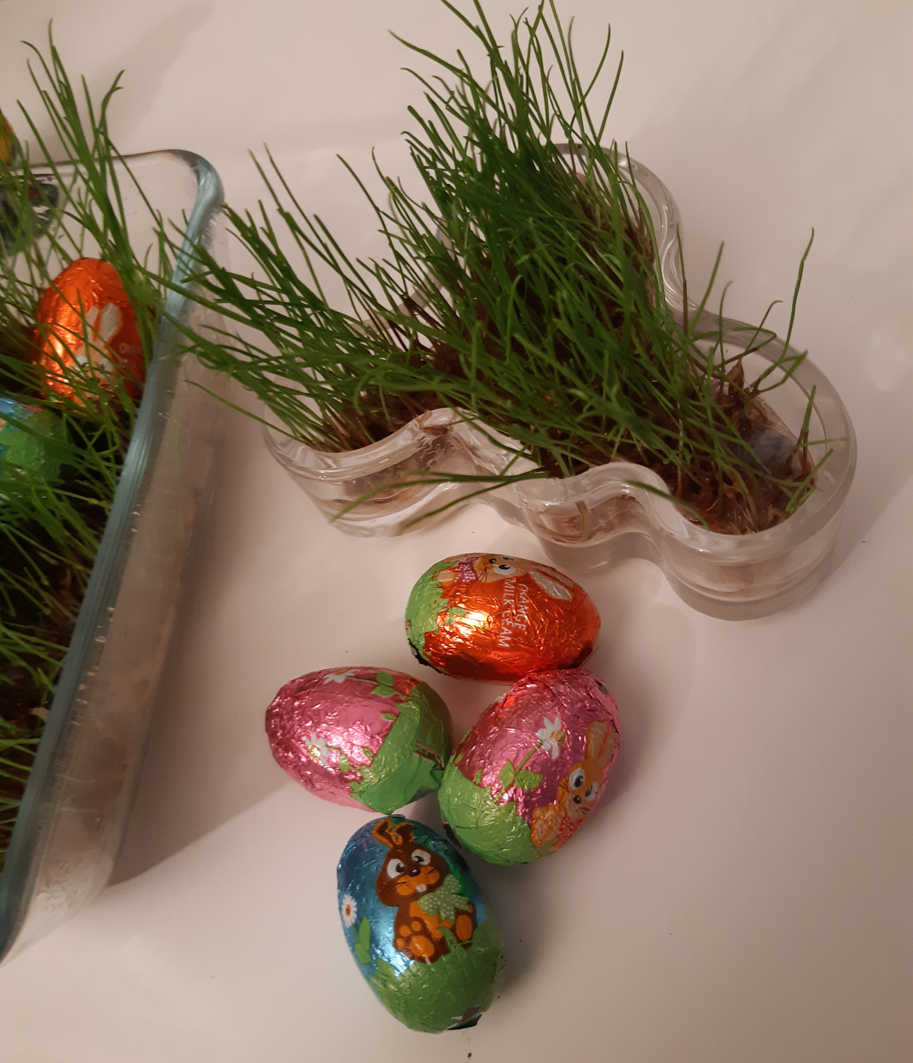 20190407_222123