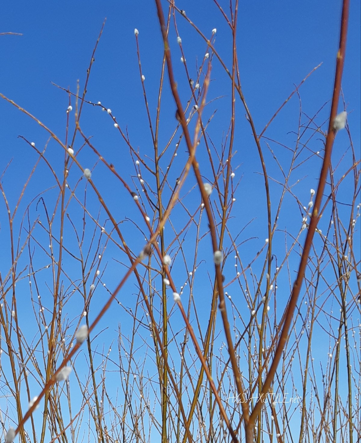 IMG_20190404_083447_073