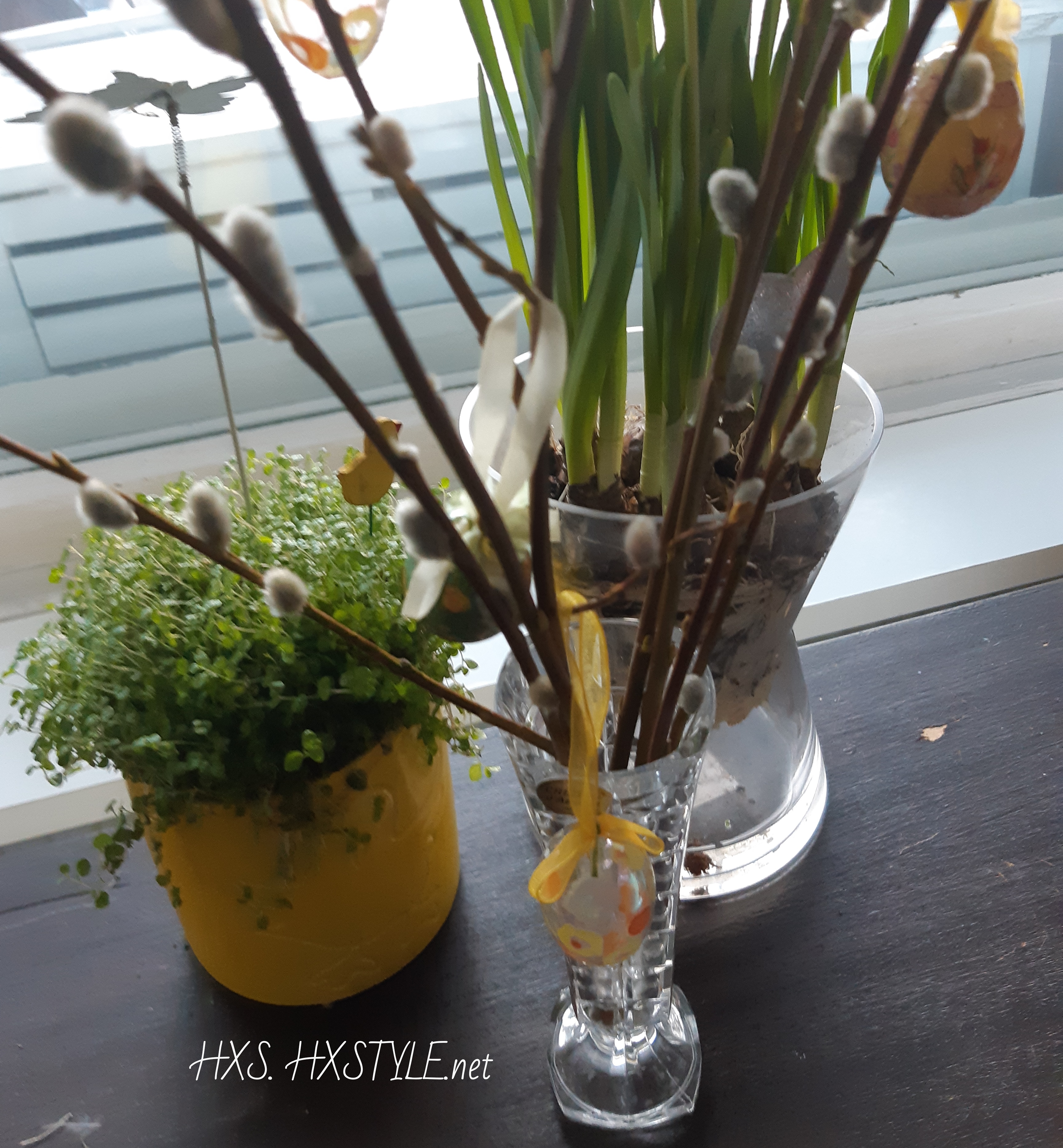 IMG_20190407_174311_057