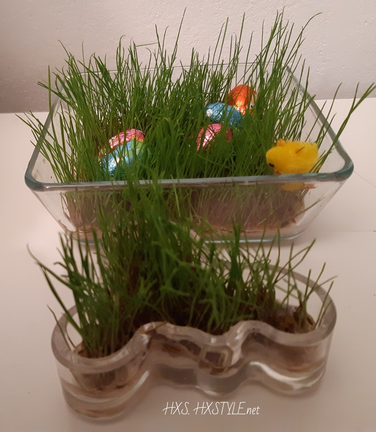 IMG_20190408_091824_482