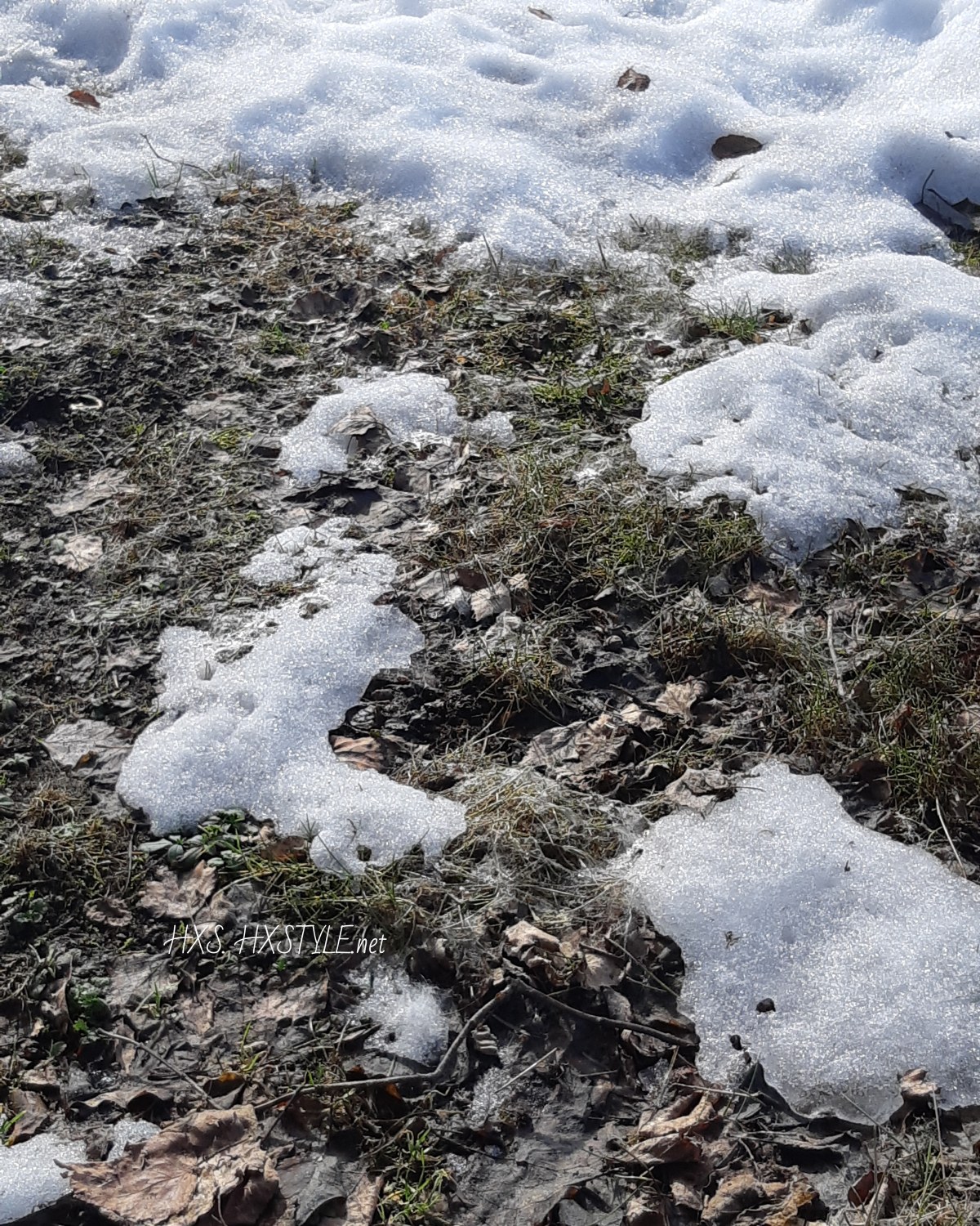 IMG_20190409_084636_407