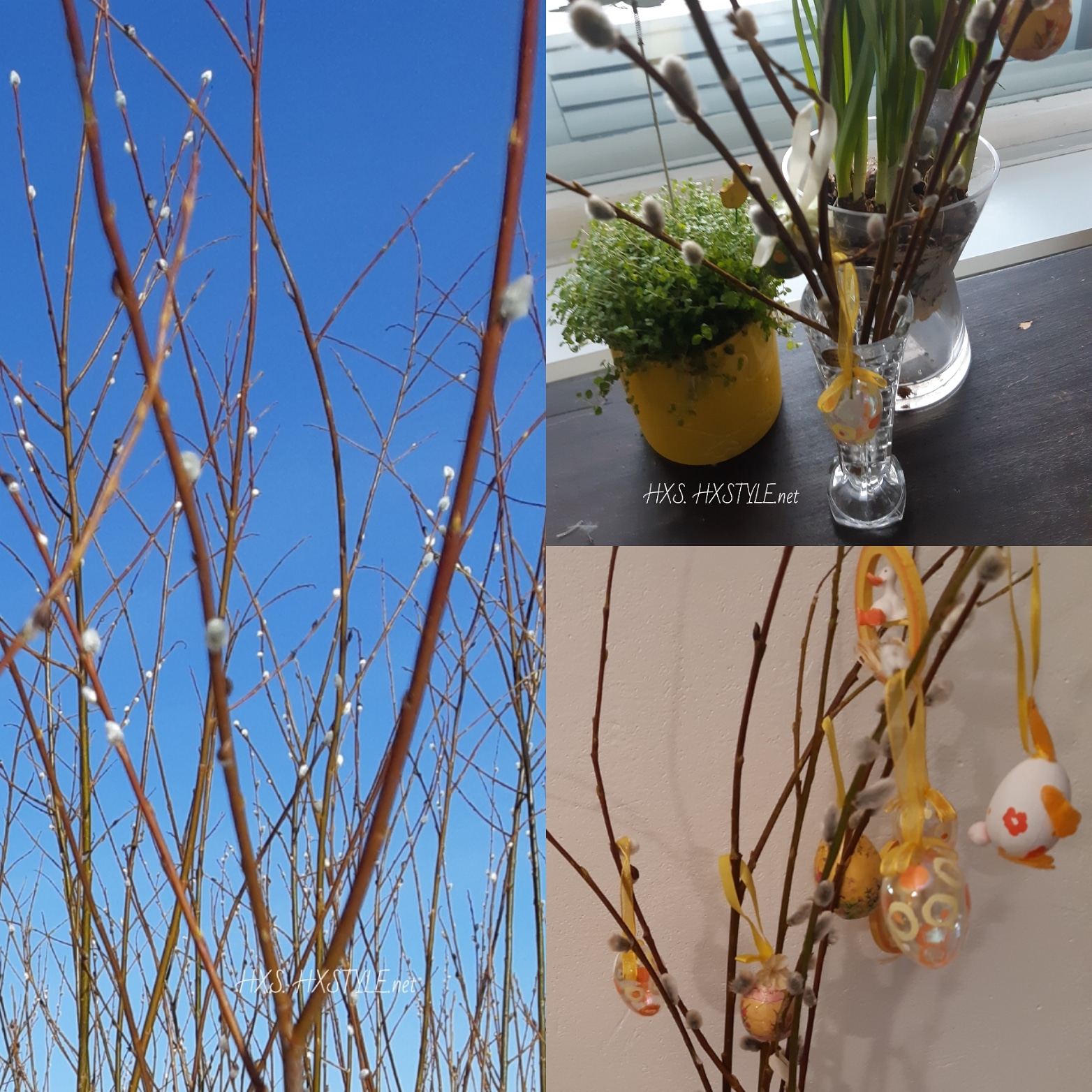 IMG_20190409_211401_123