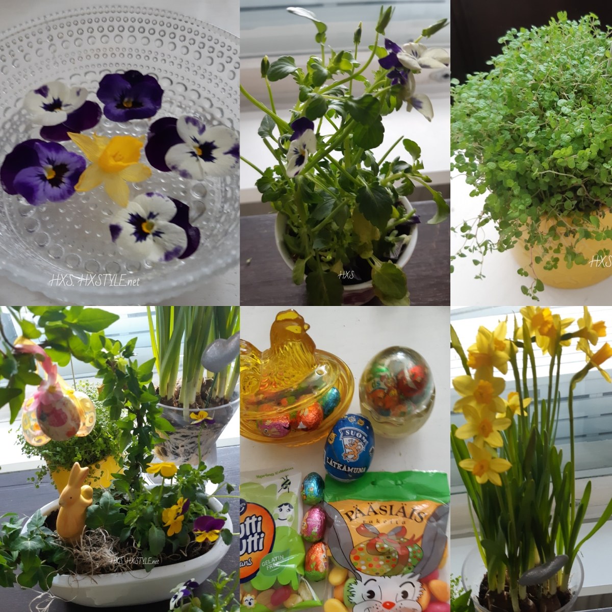 IMG_20190409_212922_124