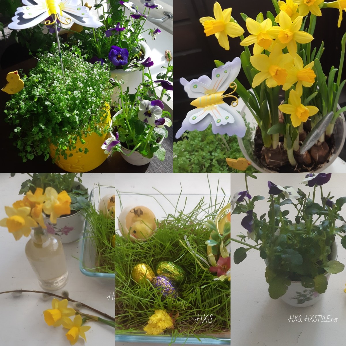 IMG_20190418_211625_548