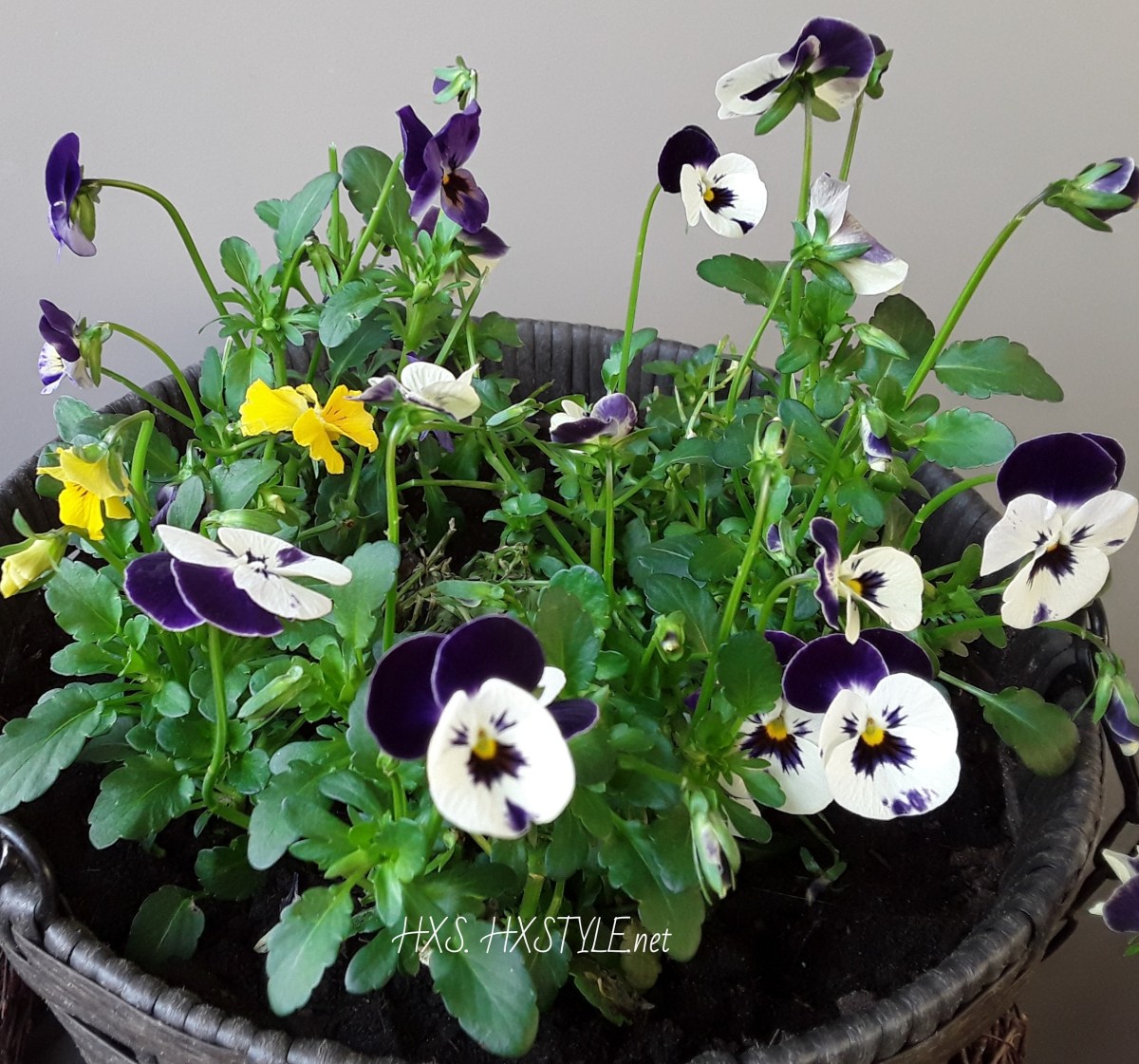 IMG_20190425_193604_440