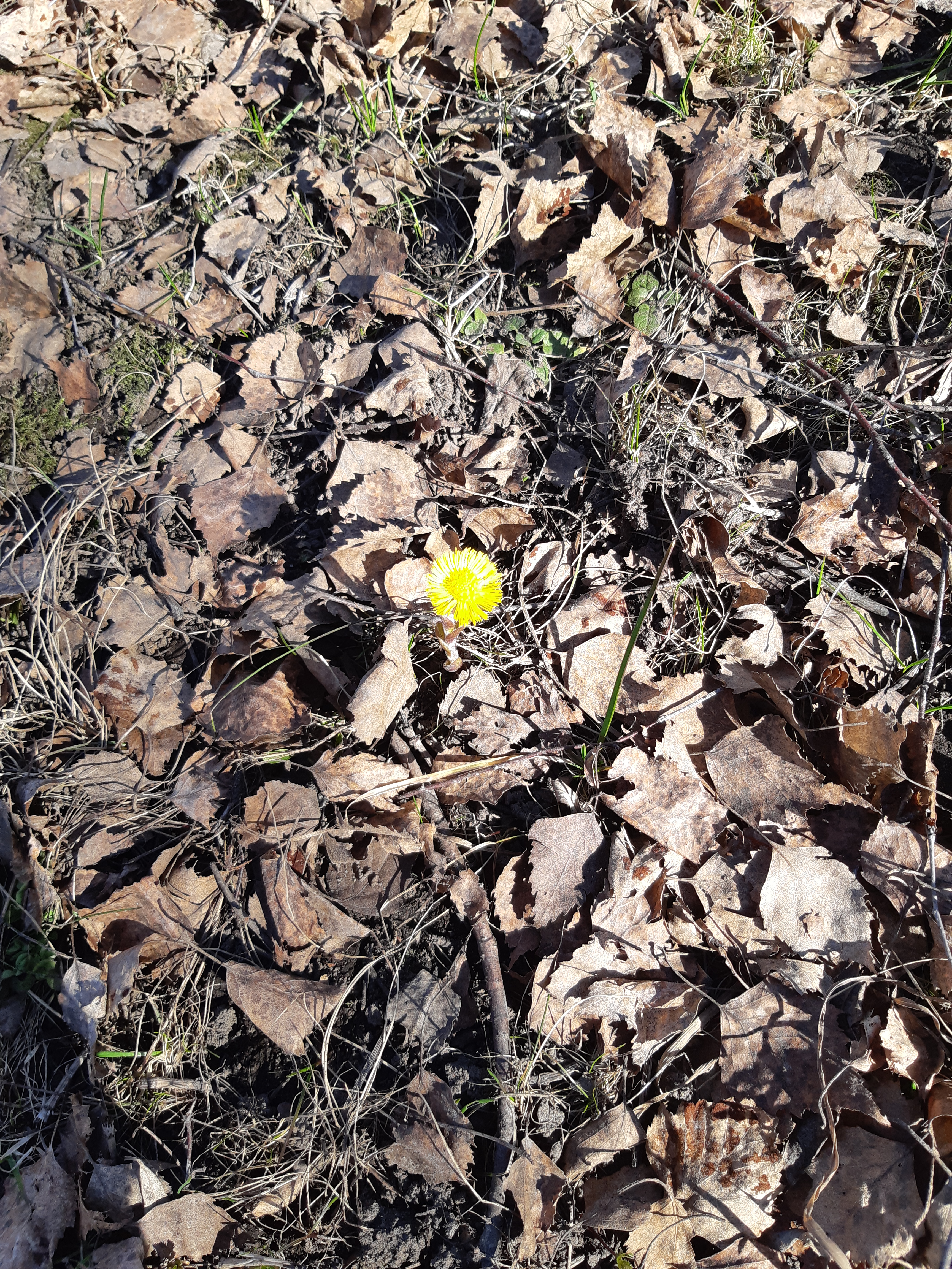 20190421_152334