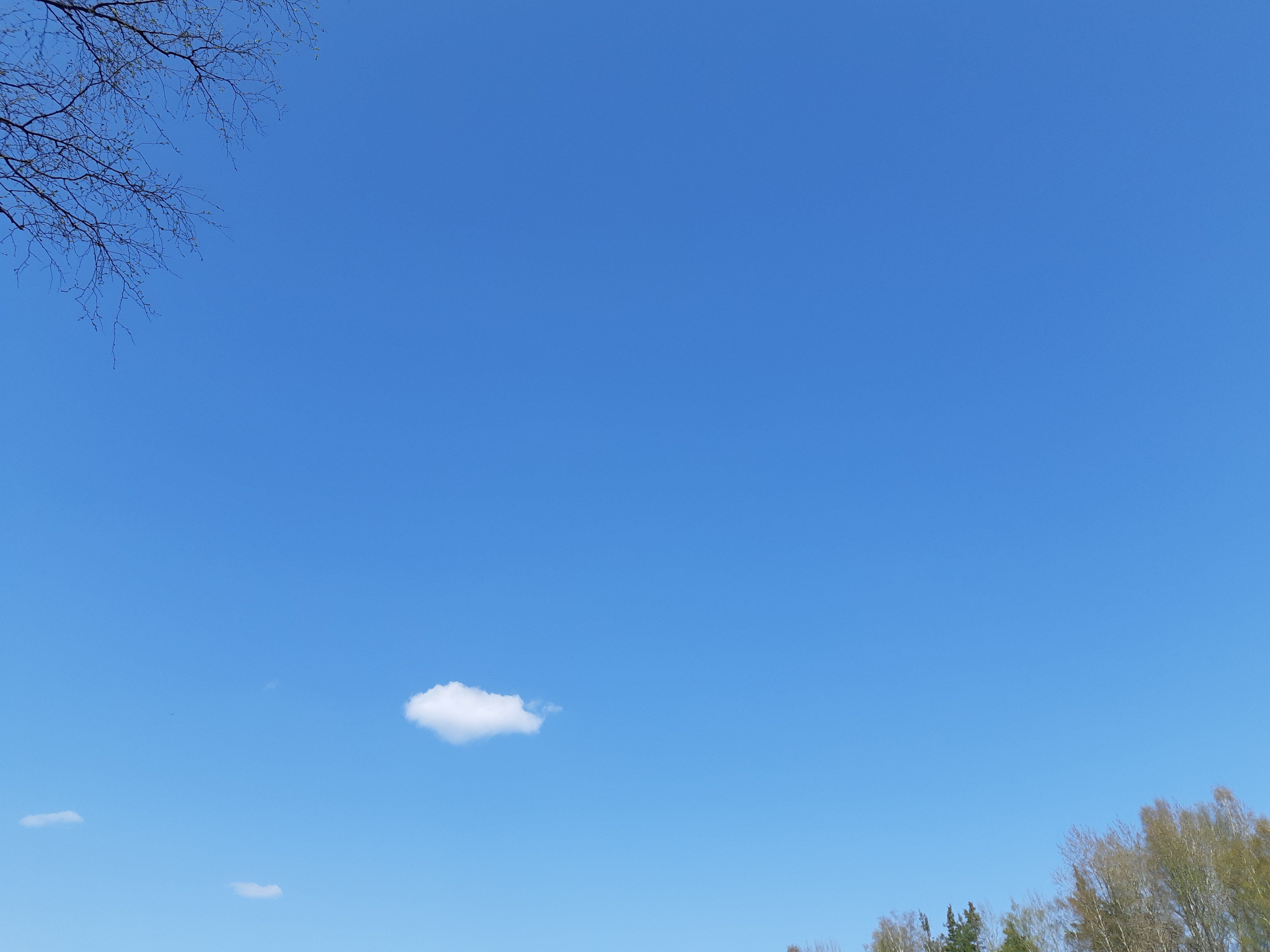 20190427_142658