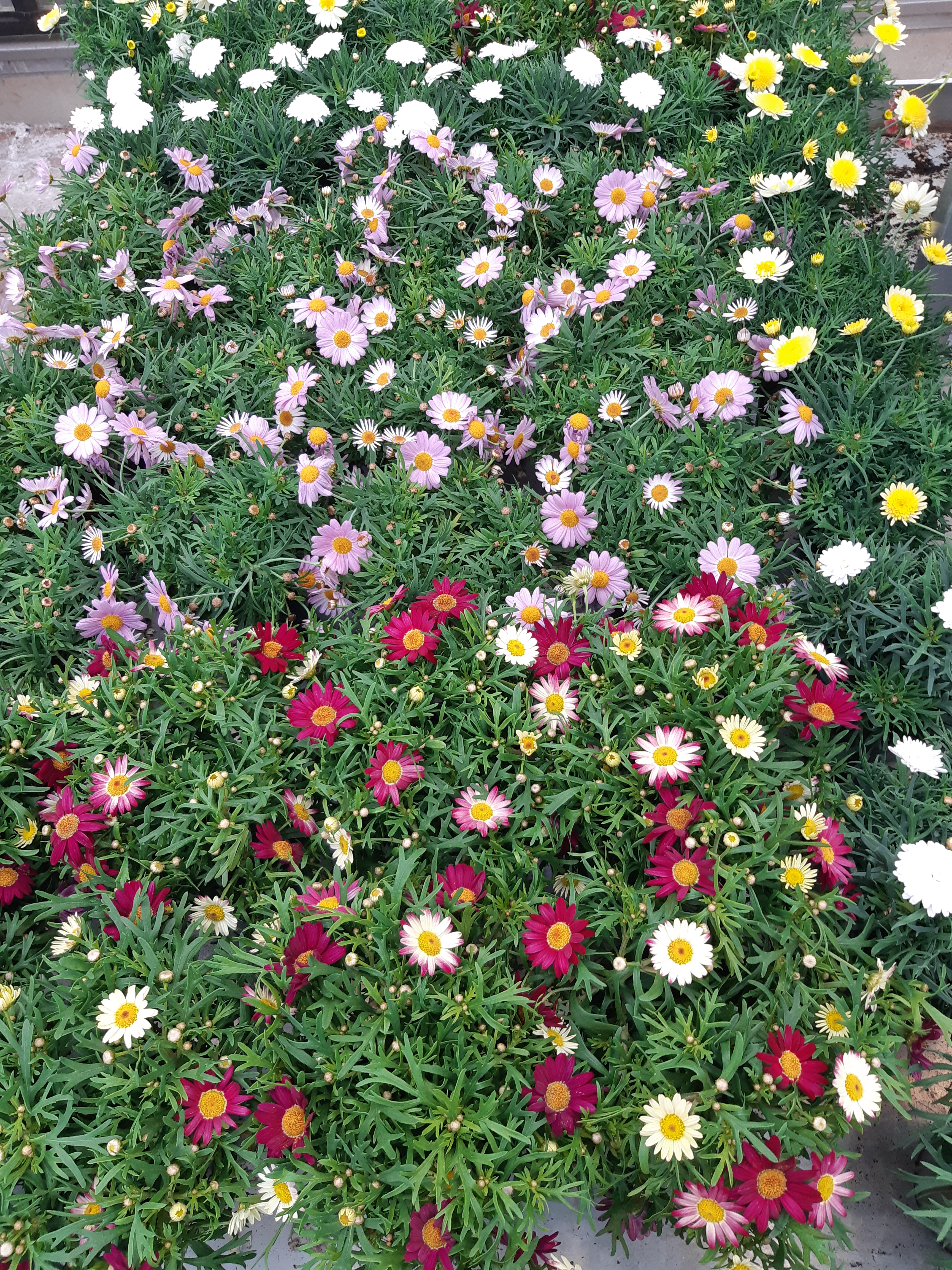 20190502_165317
