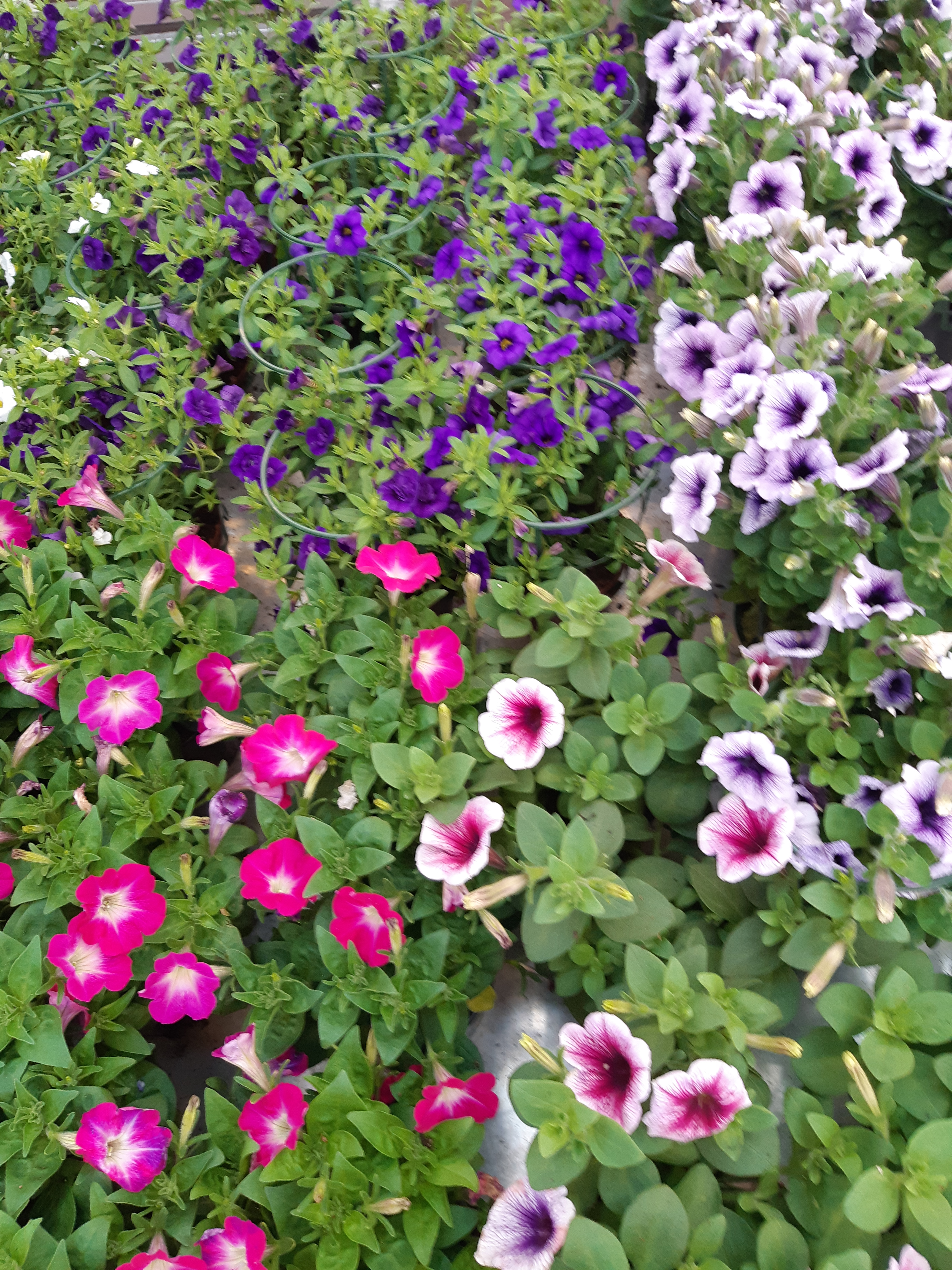 20190502_165500(0)