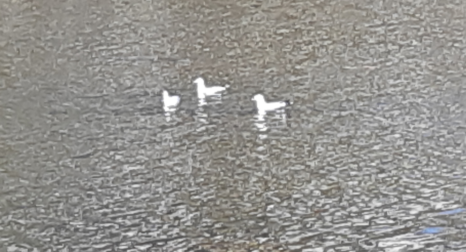20190507_191622