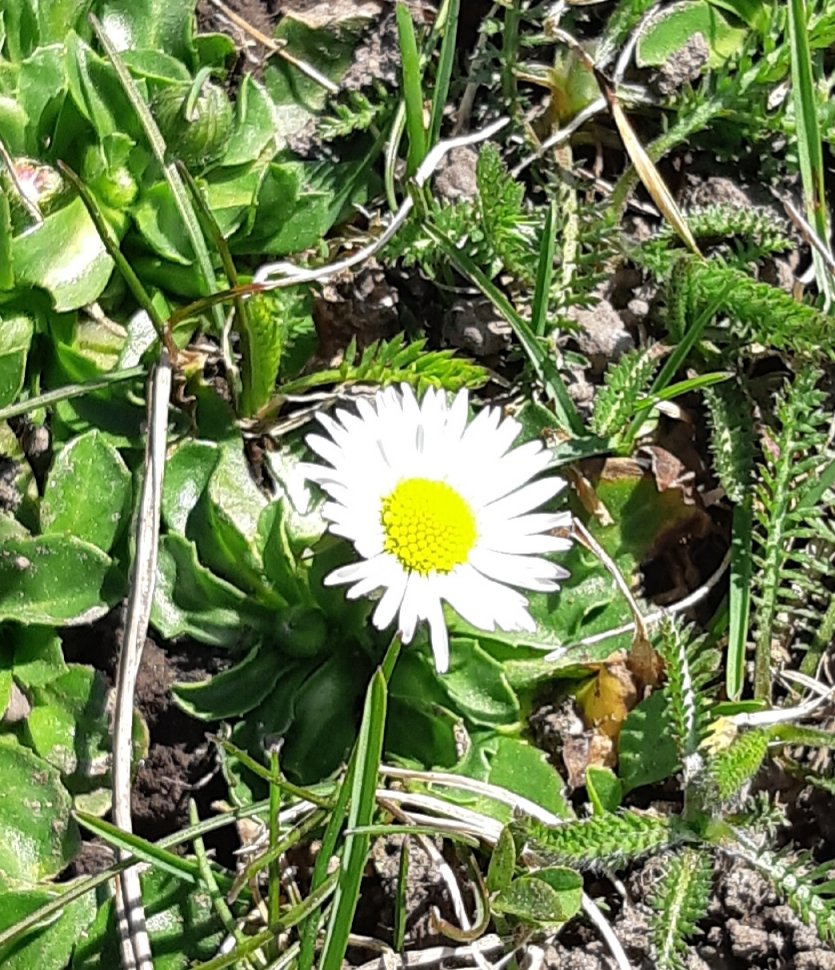 20190507_194233