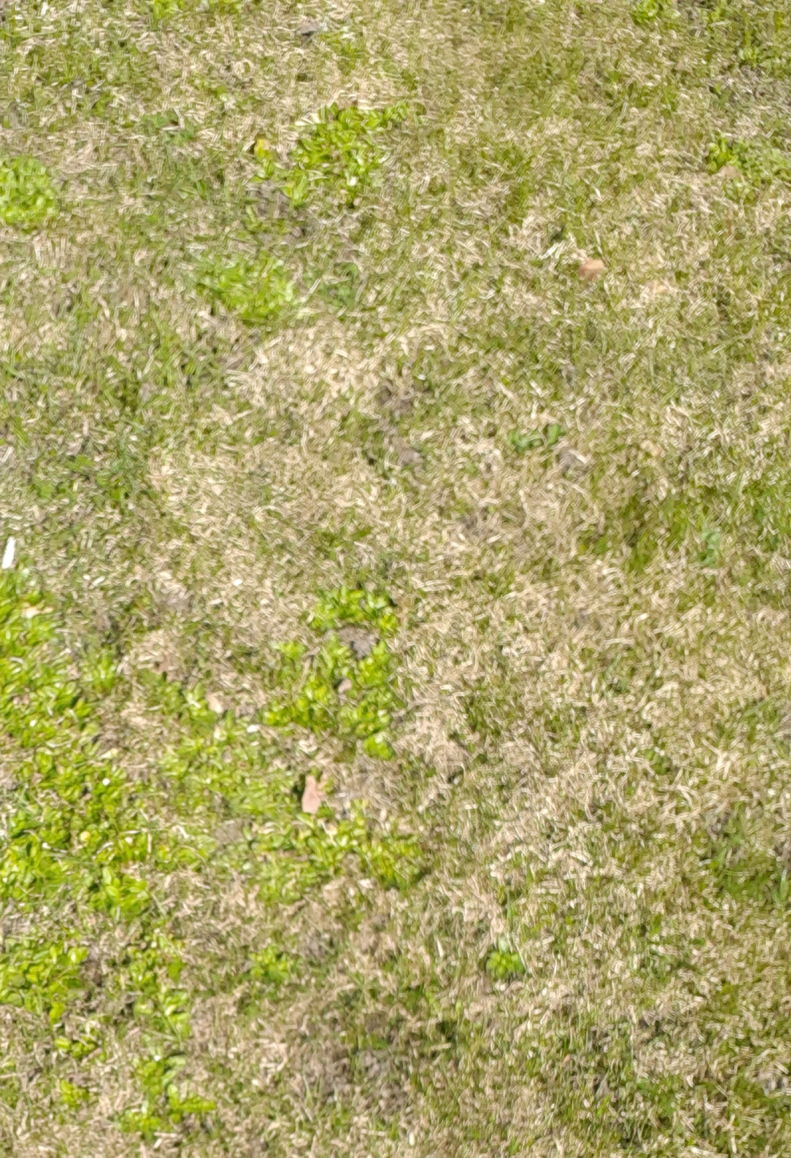 20190508_085959