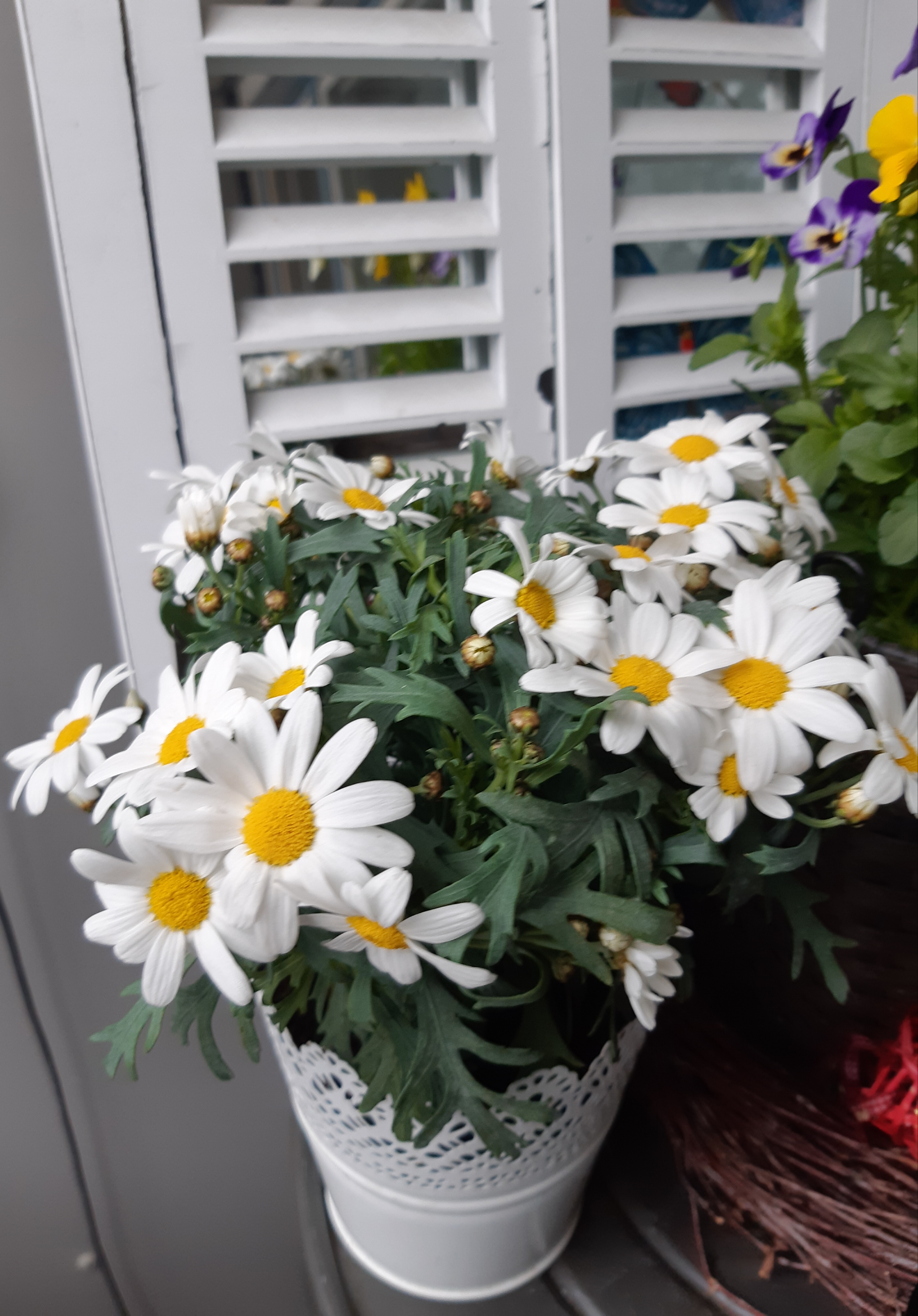 20190508_171617