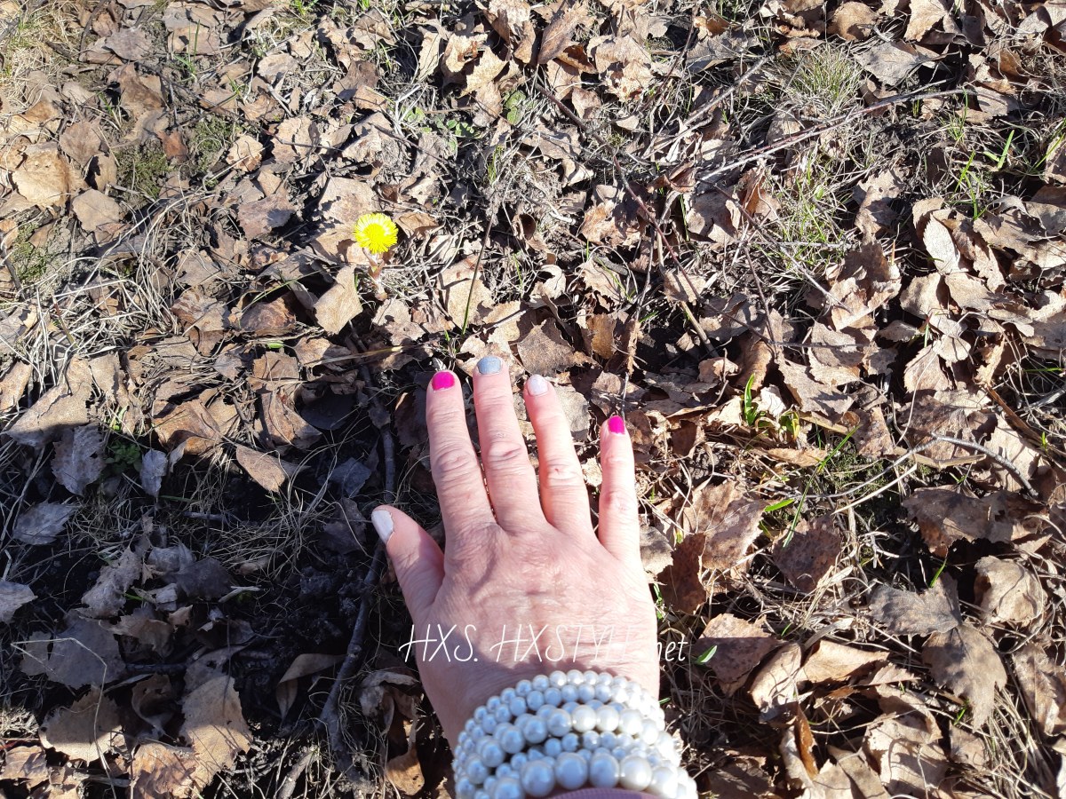 IMG_20190422_174126_145