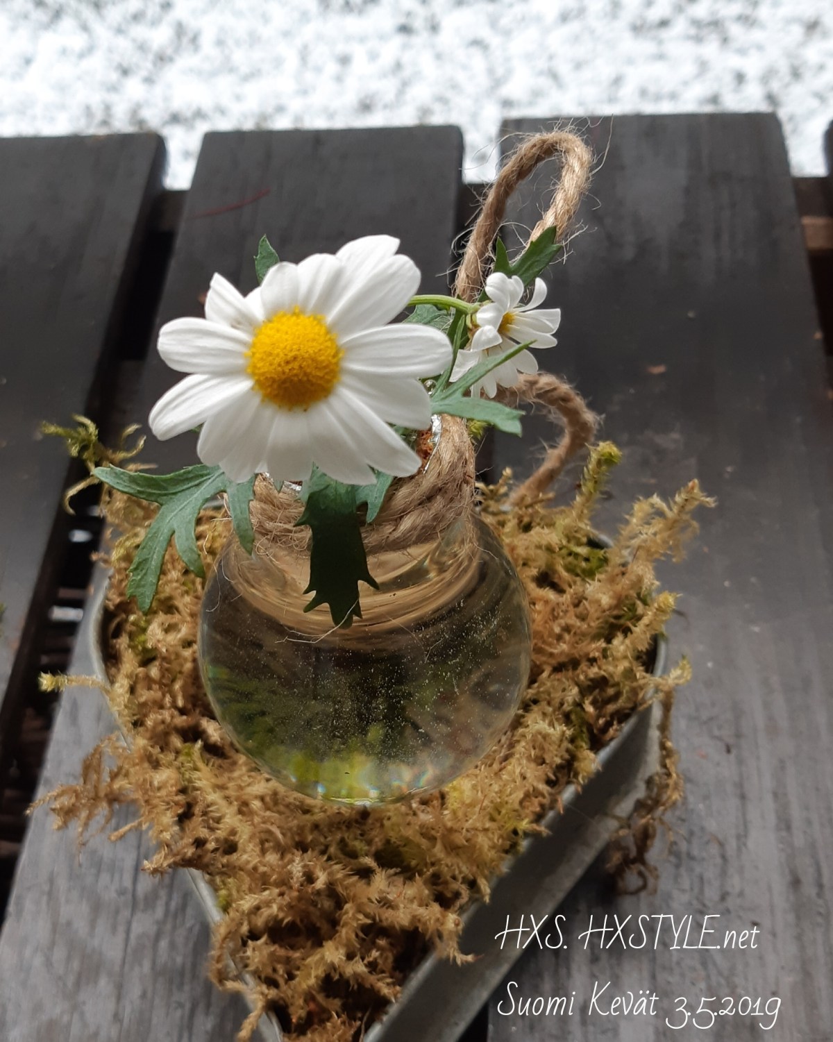 IMG_20190503_194453_445