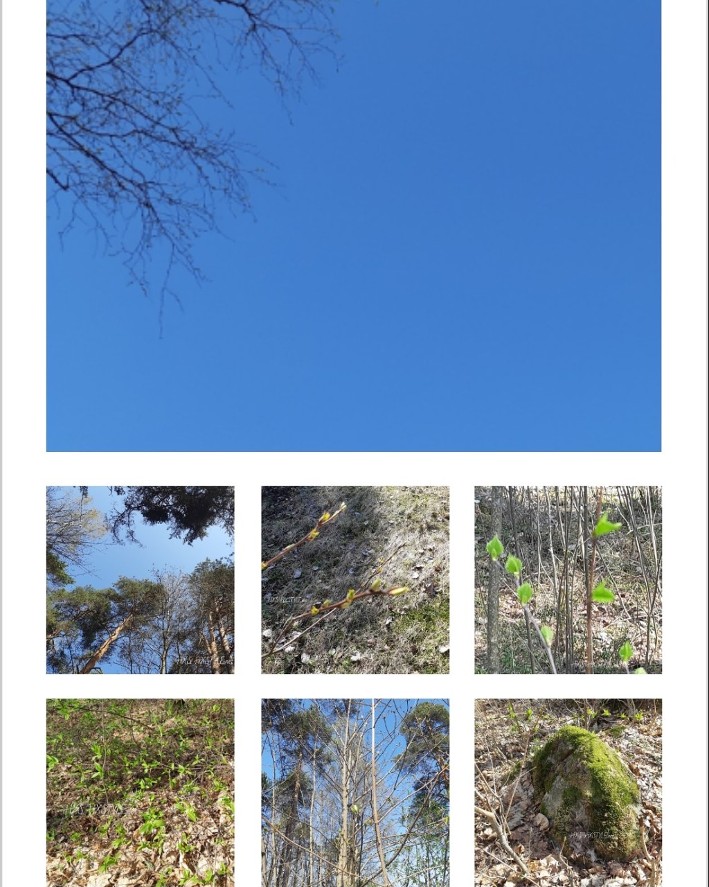 SUOMI/KOTIMAA LUONTO, YMPÄRISTÖ. Vuodenajat…KEVÄT Etenee, Sää vaihtelee ja Kesä lähestyy. METSÄT&RANNAT, PUISTOT, PUUT, Kukat, Maa/Nurmikko, Kallio….8.5.2019 KEVÄT Seuranta& Elämäntapa HXS.&nbsp;HXSTYLE.net