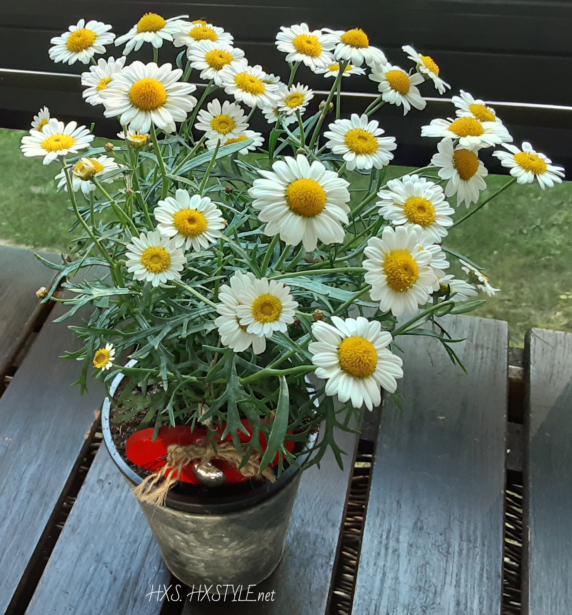 1560873422409