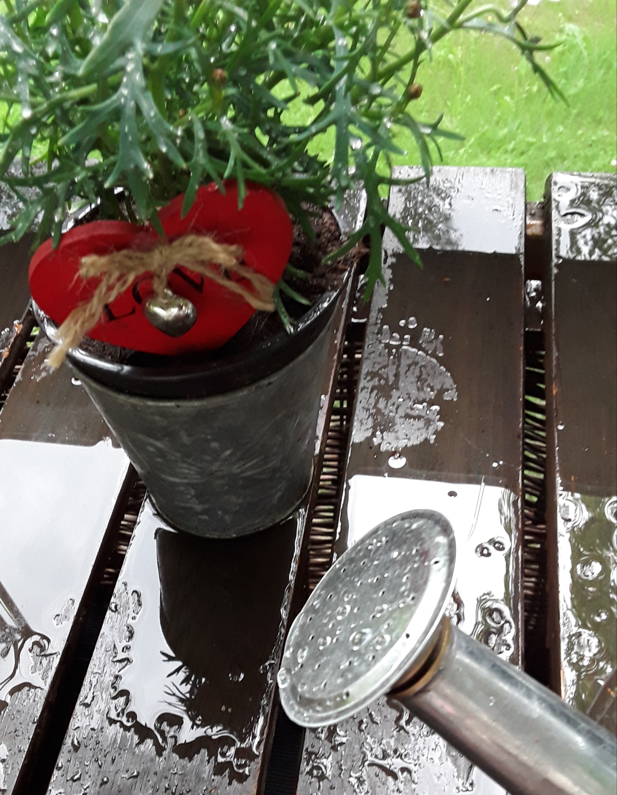 20190611_175729