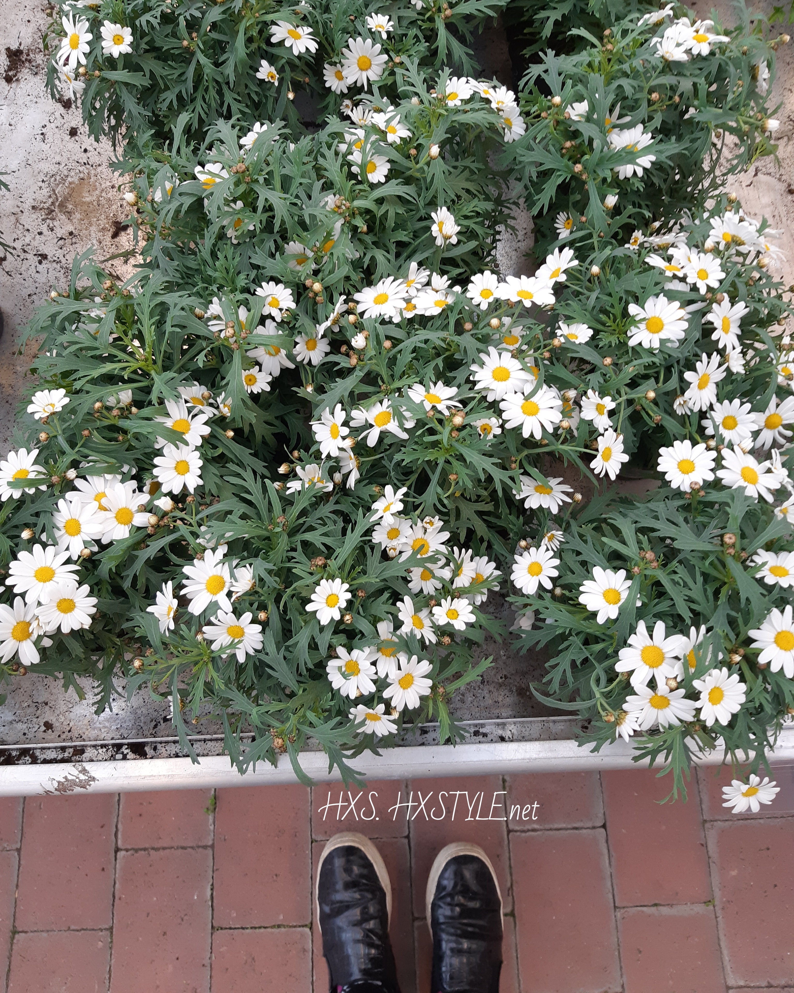 IMG_20190503_193655_590