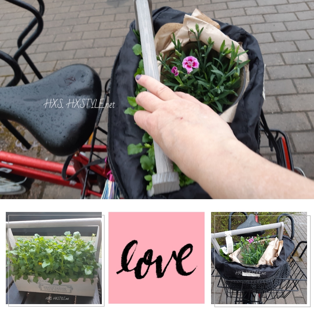 IMG_20190509_174130_977