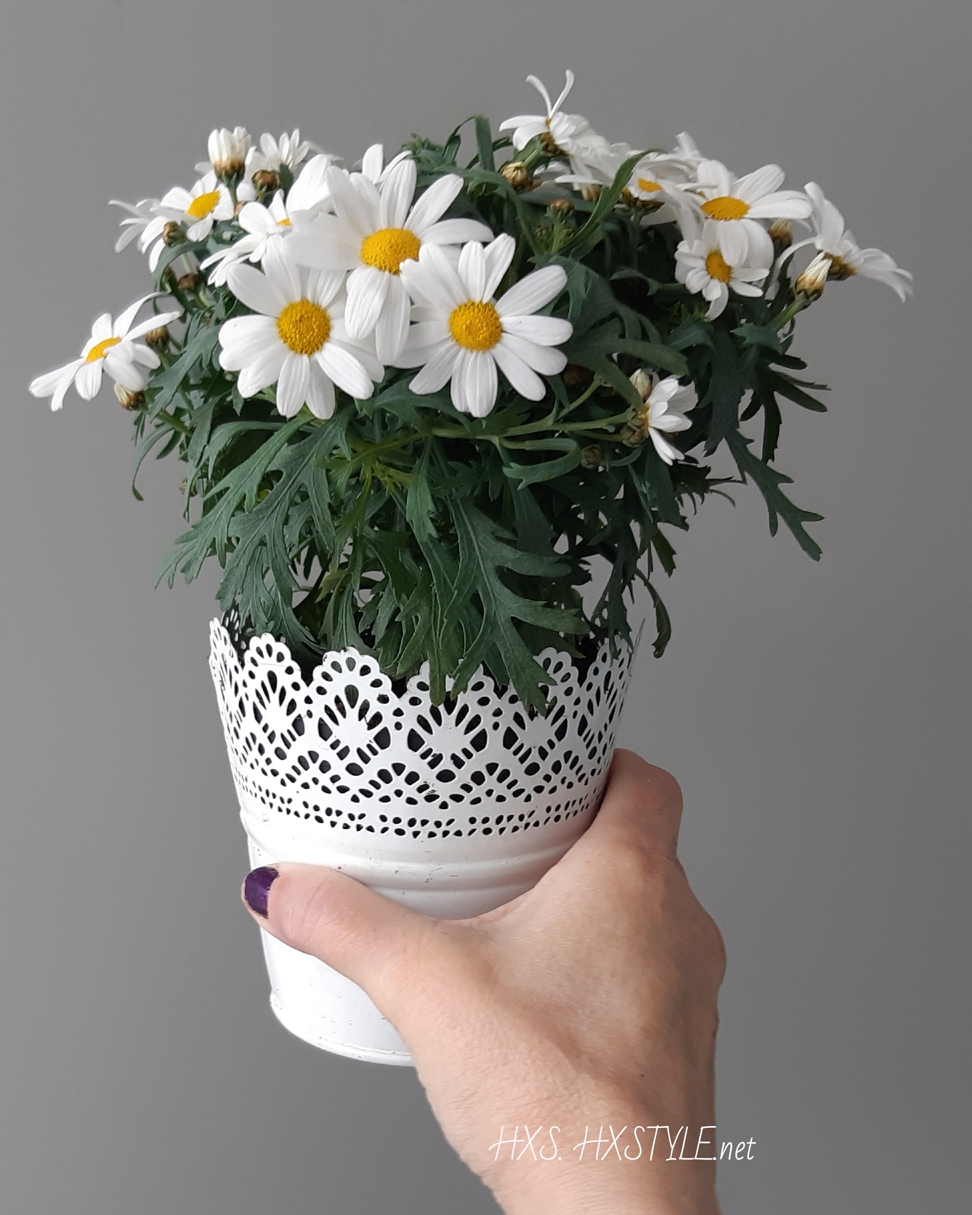 IMG_20190509_175001_011