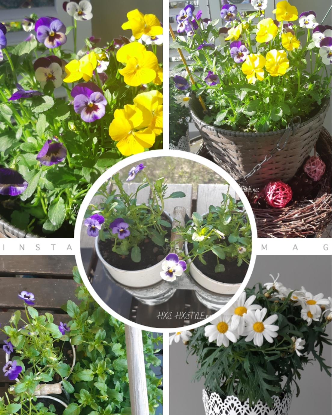 IMG_20190510_084437_005