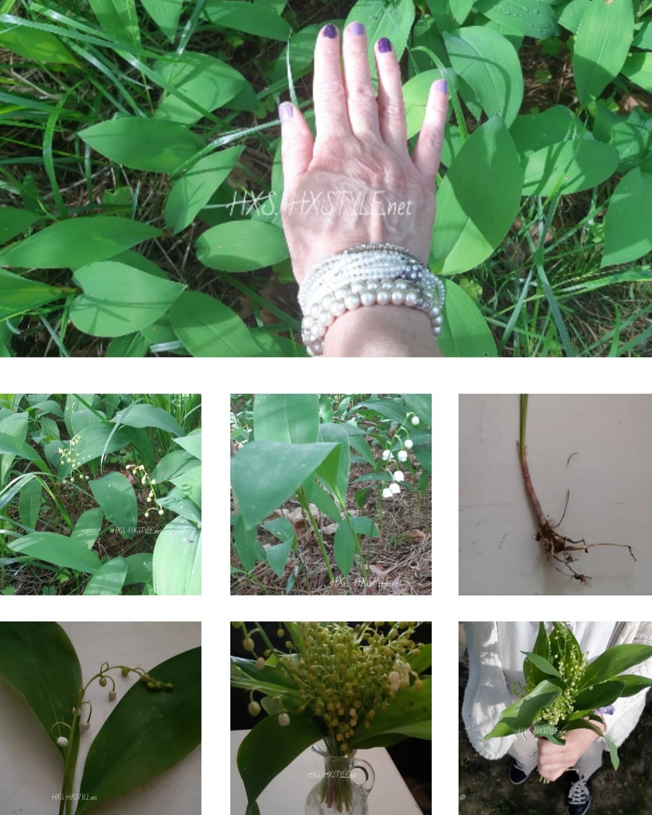 IMG_20190530_111804_409