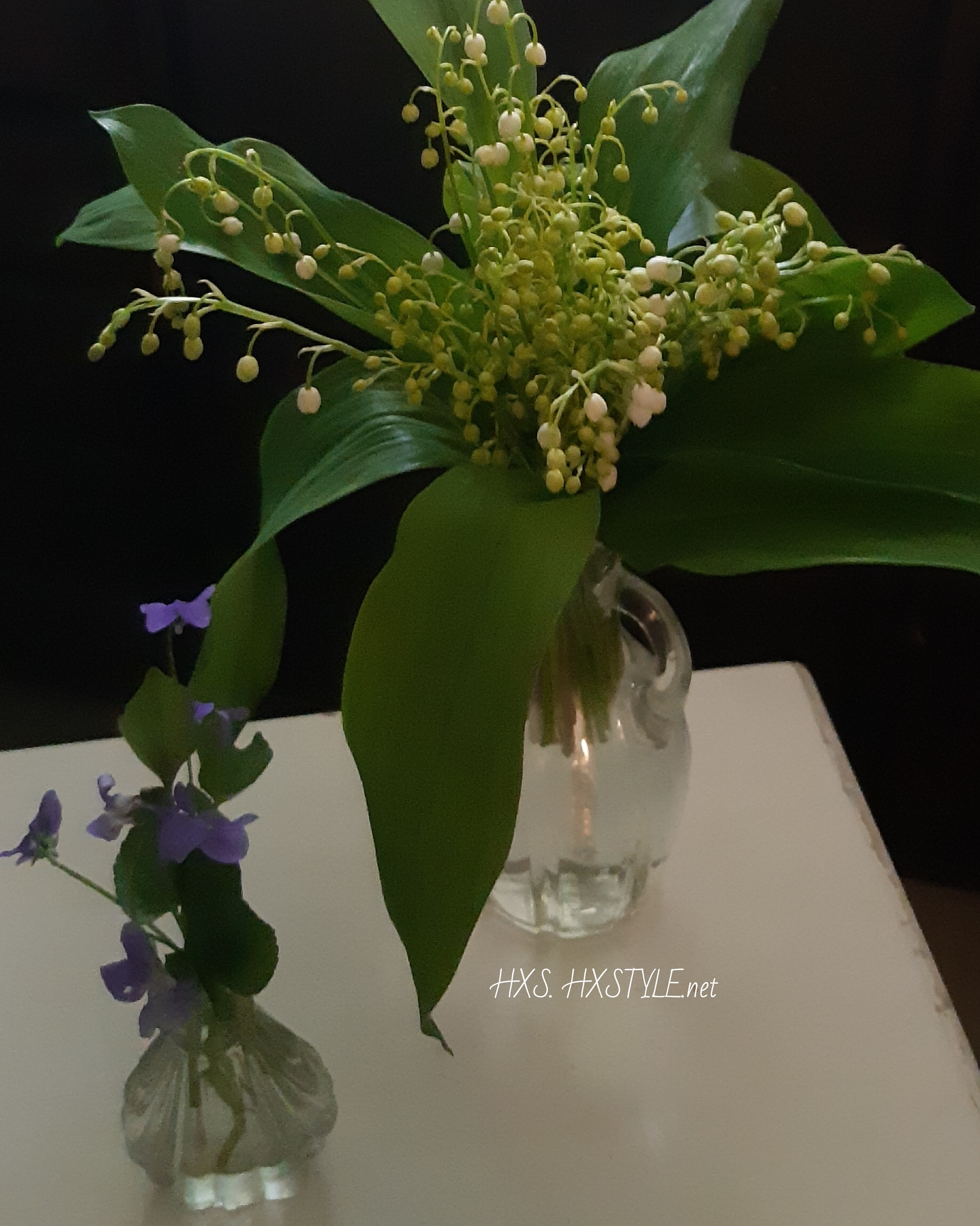 IMG_20190531_084244_723