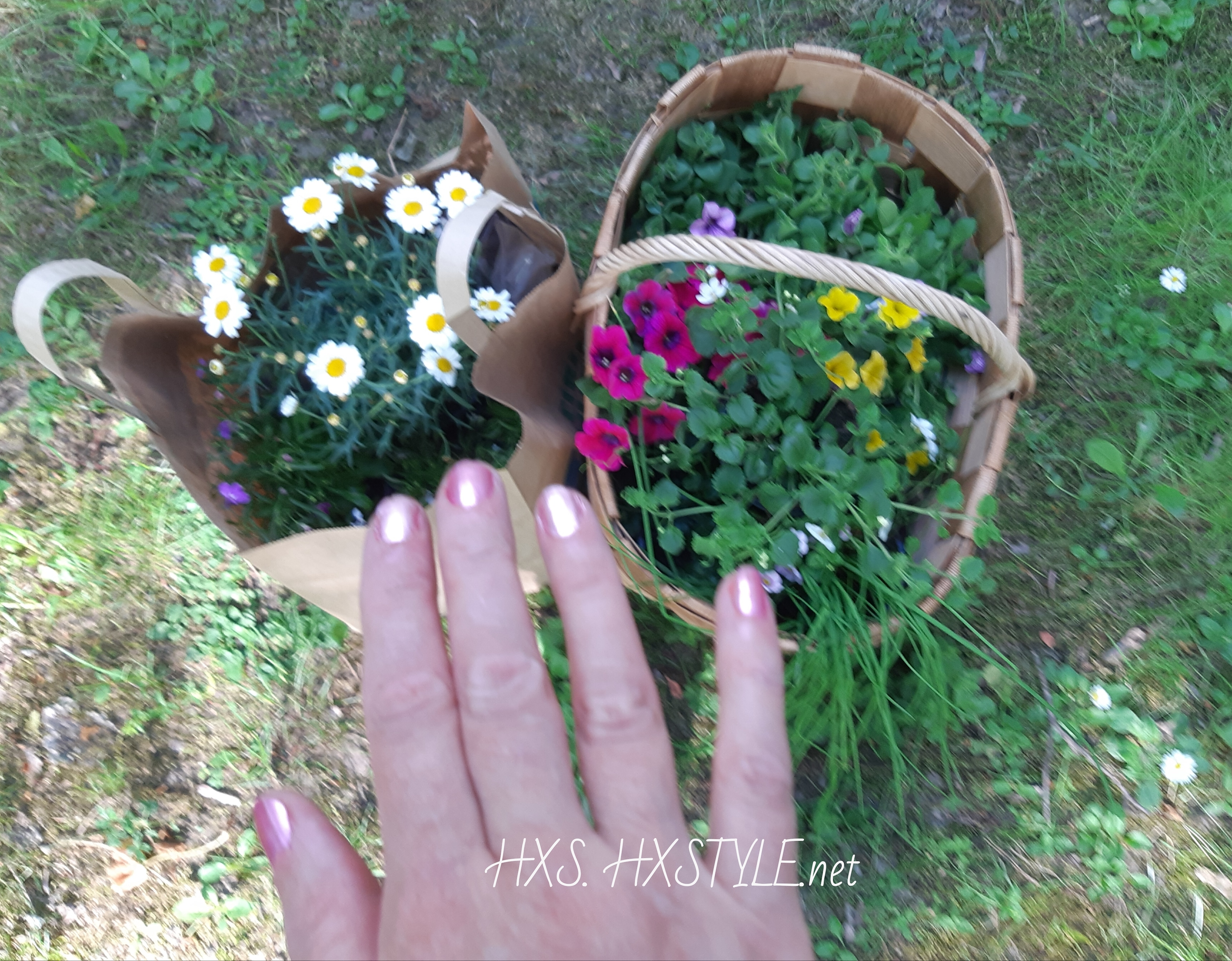 IMG_20190613_100009_767