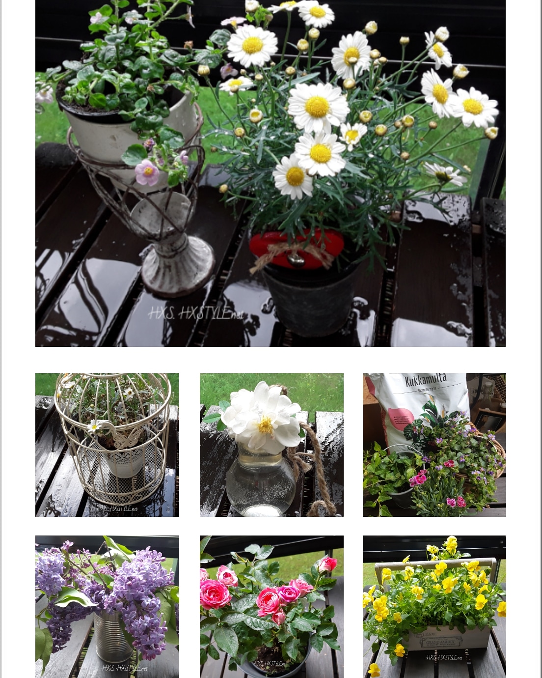 IMG_20190613_165318_300