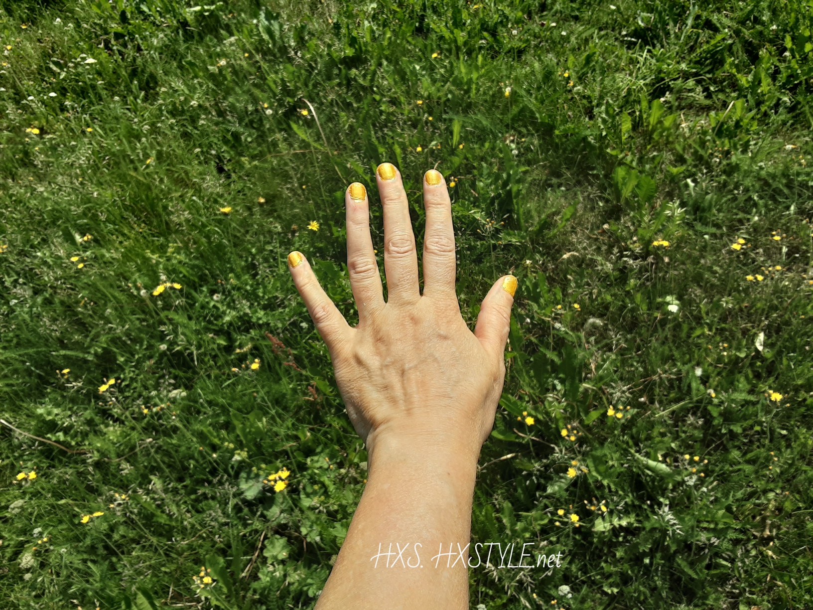 1561051077317