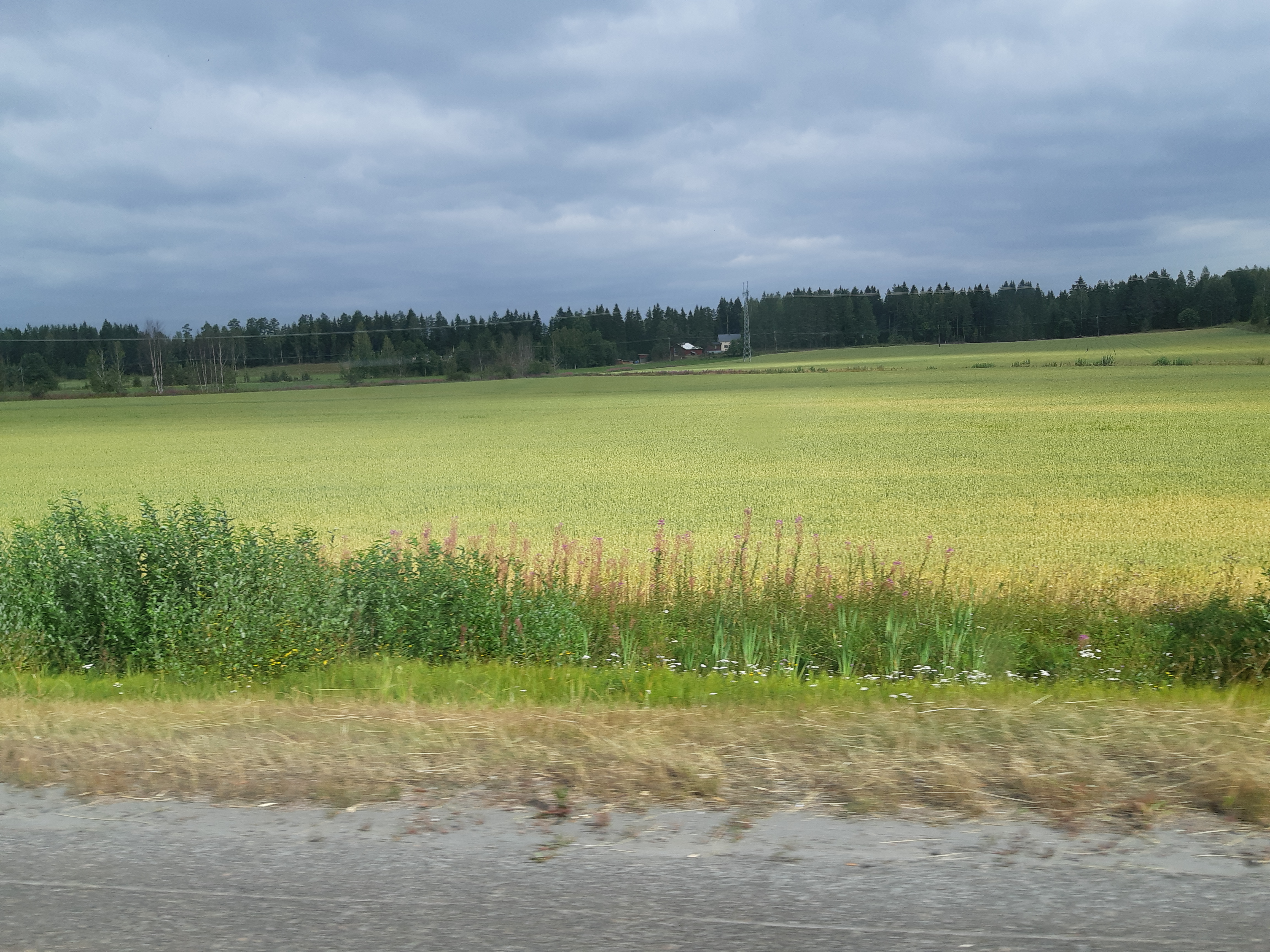 20190801_104528