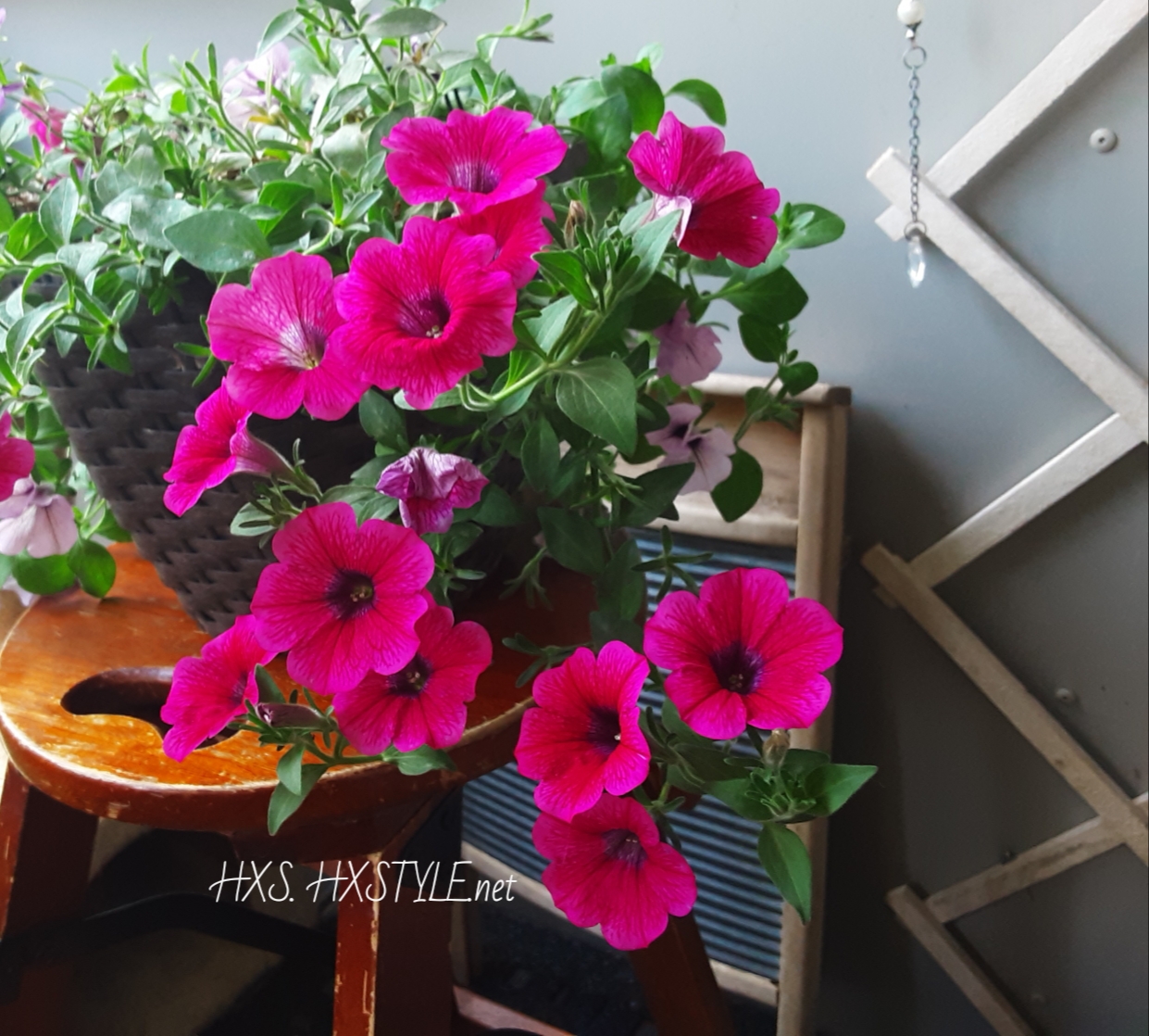 20190812_122239