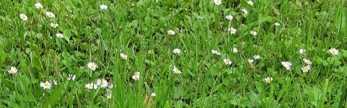 20190812_185255