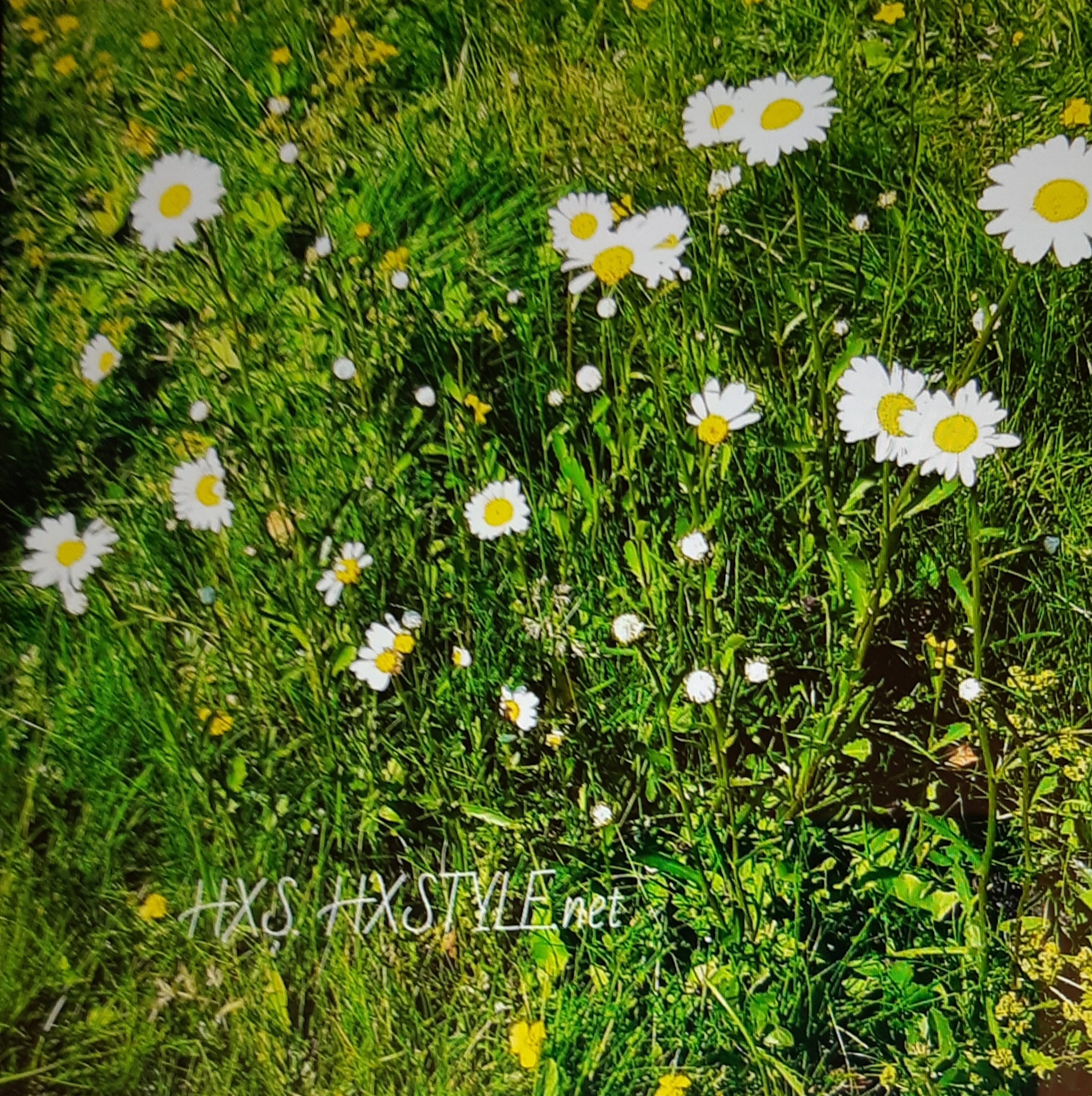 20190812_214544