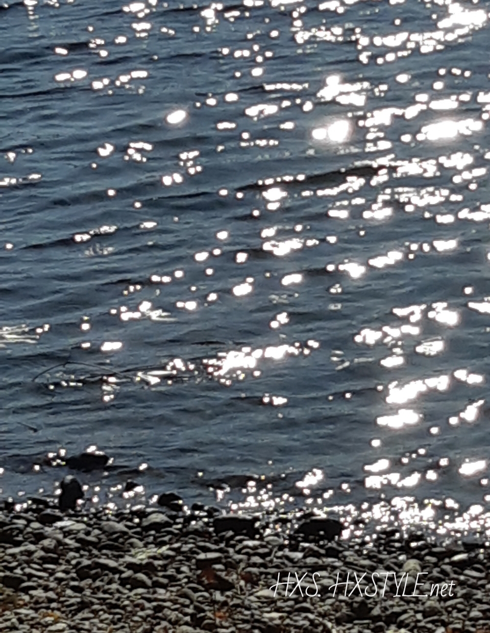 20190829_172343