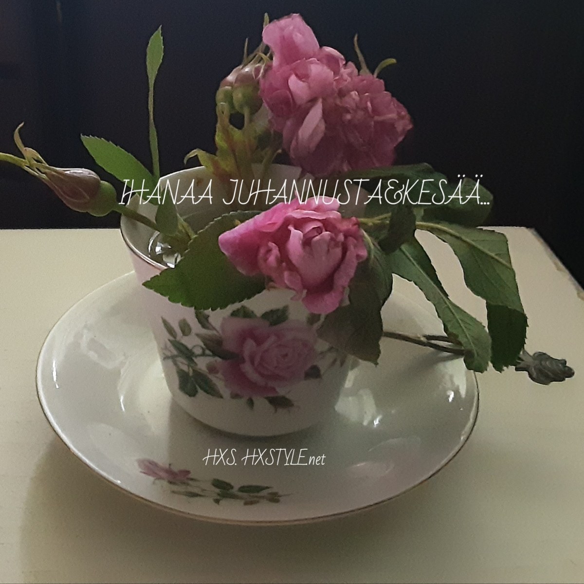 IMG_20190621_101042_772