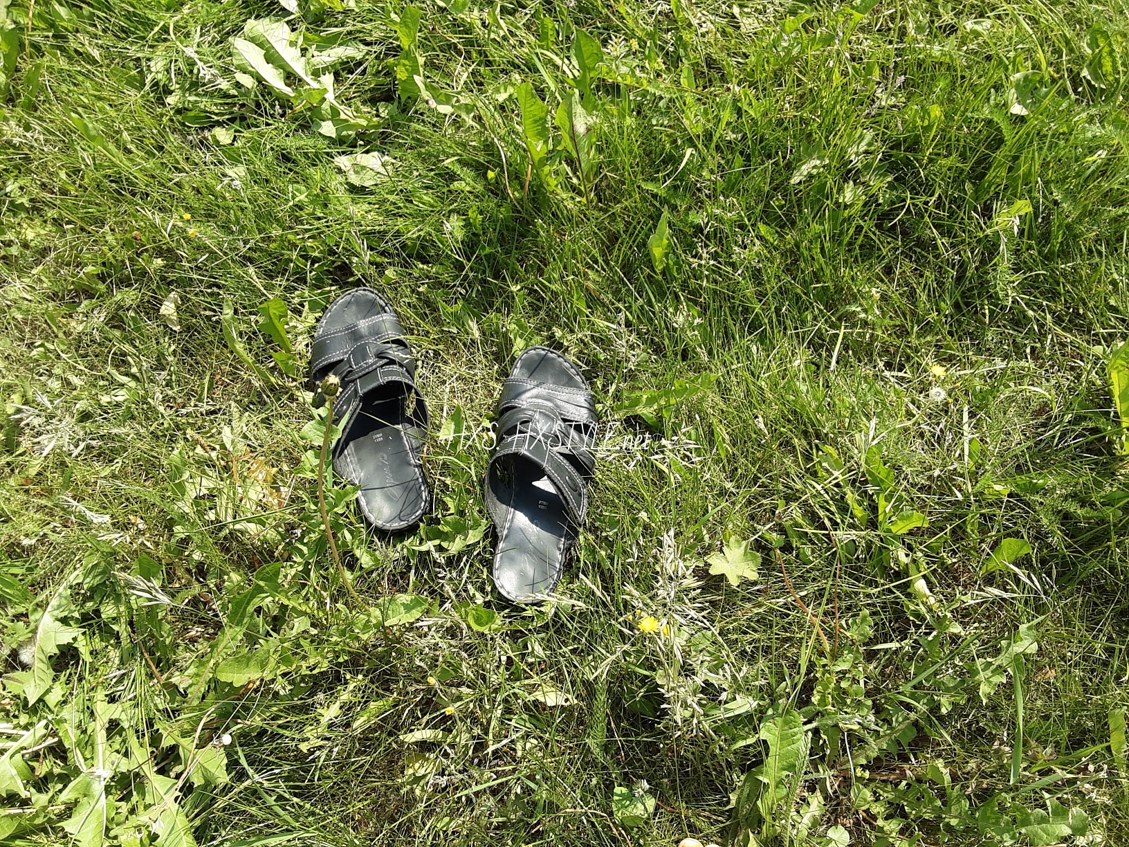 IMG_20190626_101735_585