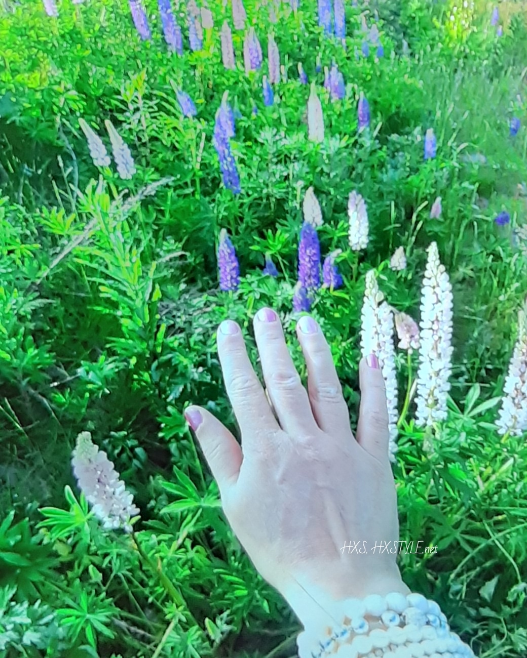 IMG_20190629_205019_329