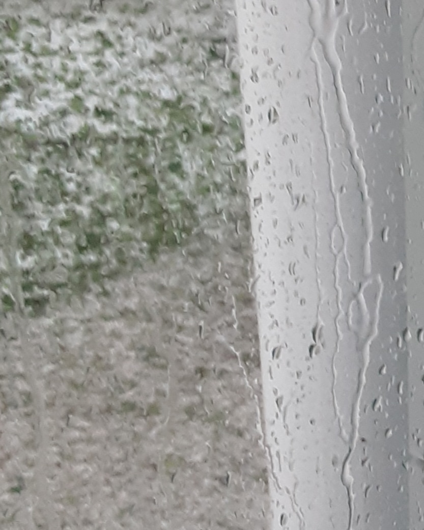 IMG_20190702_132123_598