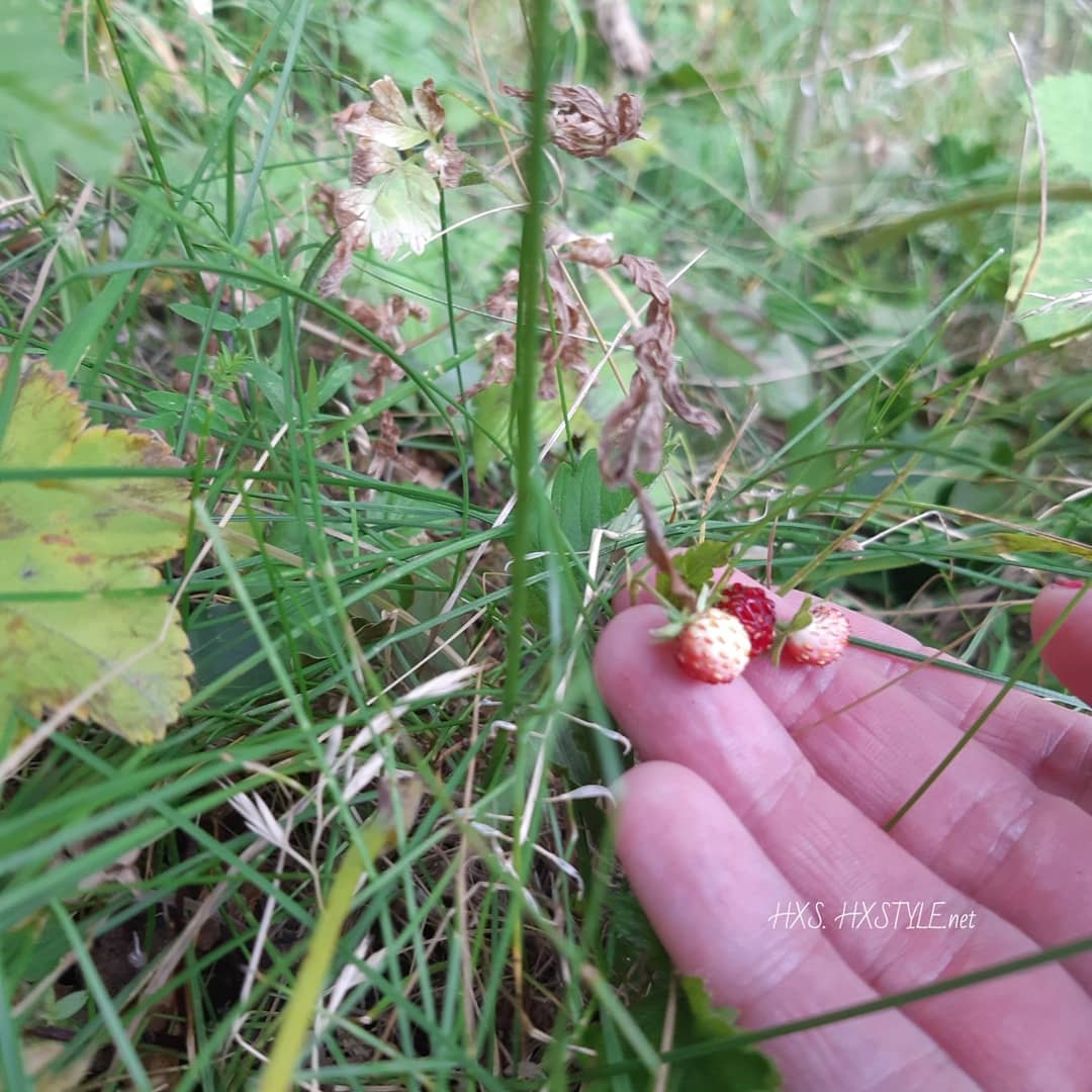 IMG_20190710_103839_230